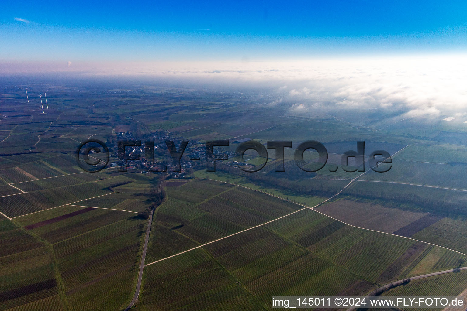 Vue aérienne de Bienwald sous les nuages à Dierbach dans le département Rhénanie-Palatinat, Allemagne