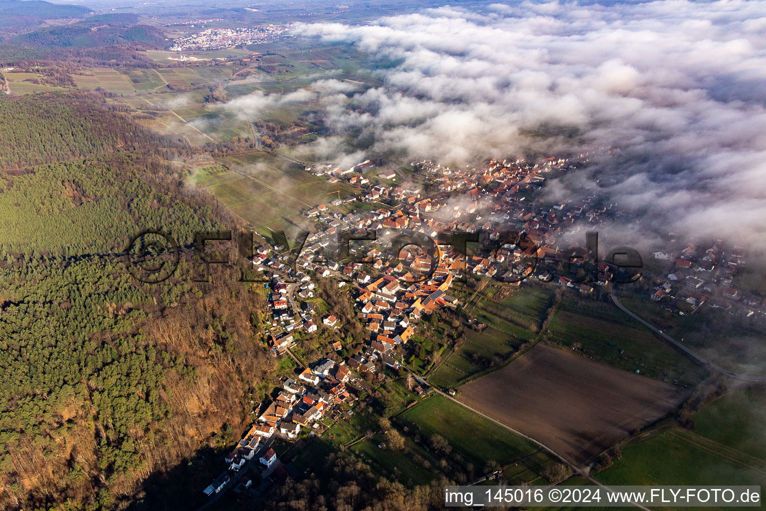 Vue aérienne de Village au bord des nuages à Oberotterbach dans le département Rhénanie-Palatinat, Allemagne