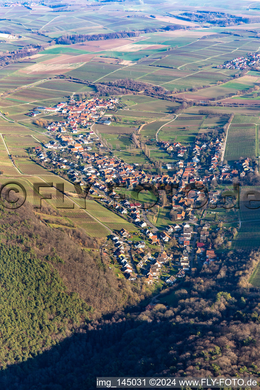 Vue aérienne de Village au bord du Haardt vu du sud-ouest à le quartier Pleisweiler in Pleisweiler-Oberhofen dans le département Rhénanie-Palatinat, Allemagne