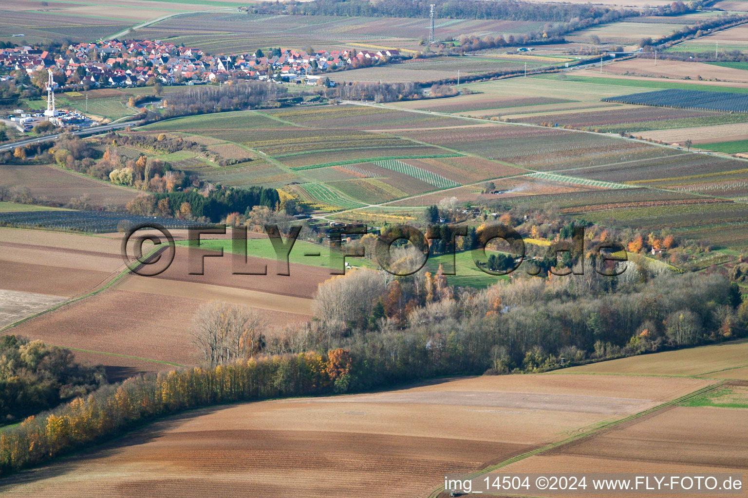 Vue aérienne de À la cabane du pêcheur à Insheim dans le département Rhénanie-Palatinat, Allemagne