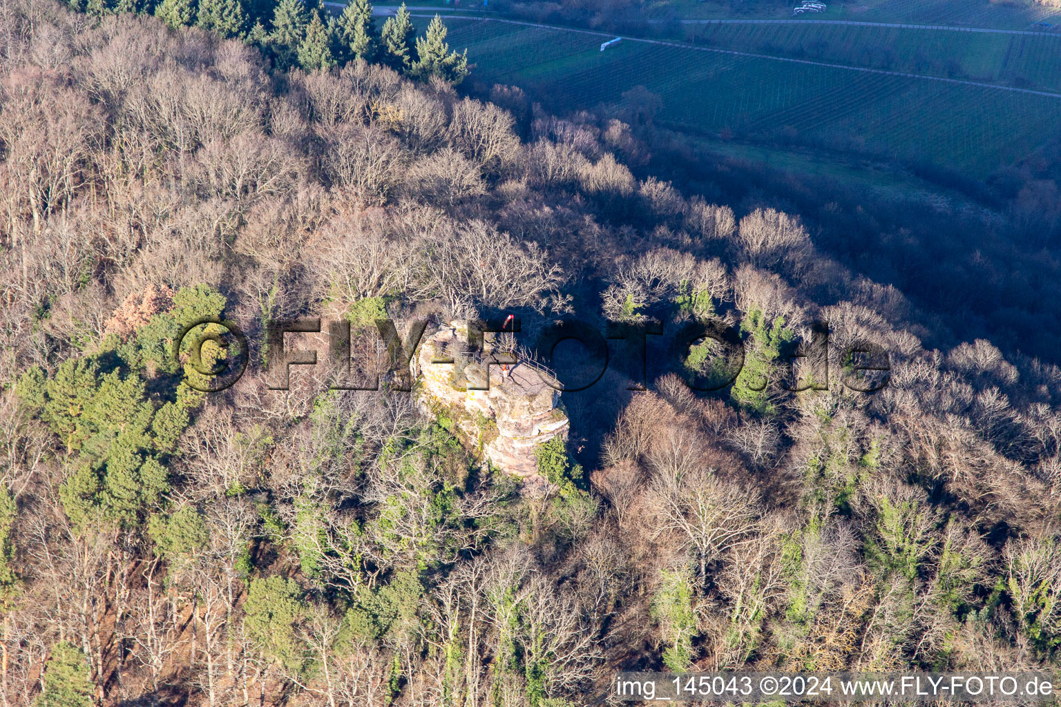Vue aérienne de Ruines du château de Neukastell à Leinsweiler dans le département Rhénanie-Palatinat, Allemagne