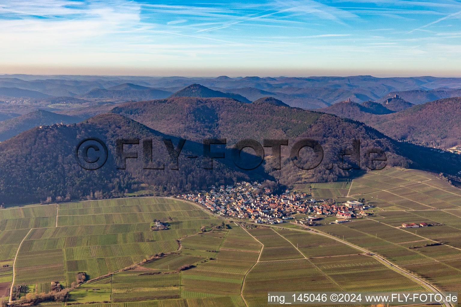 Vue aérienne de Village viticole au bord du Haardt vu de l'est à Eschbach dans le département Rhénanie-Palatinat, Allemagne