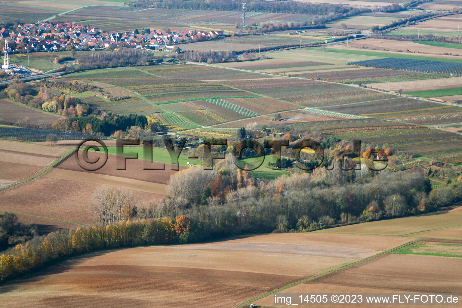 Vue aérienne de Insheim dans le département Rhénanie-Palatinat, Allemagne
