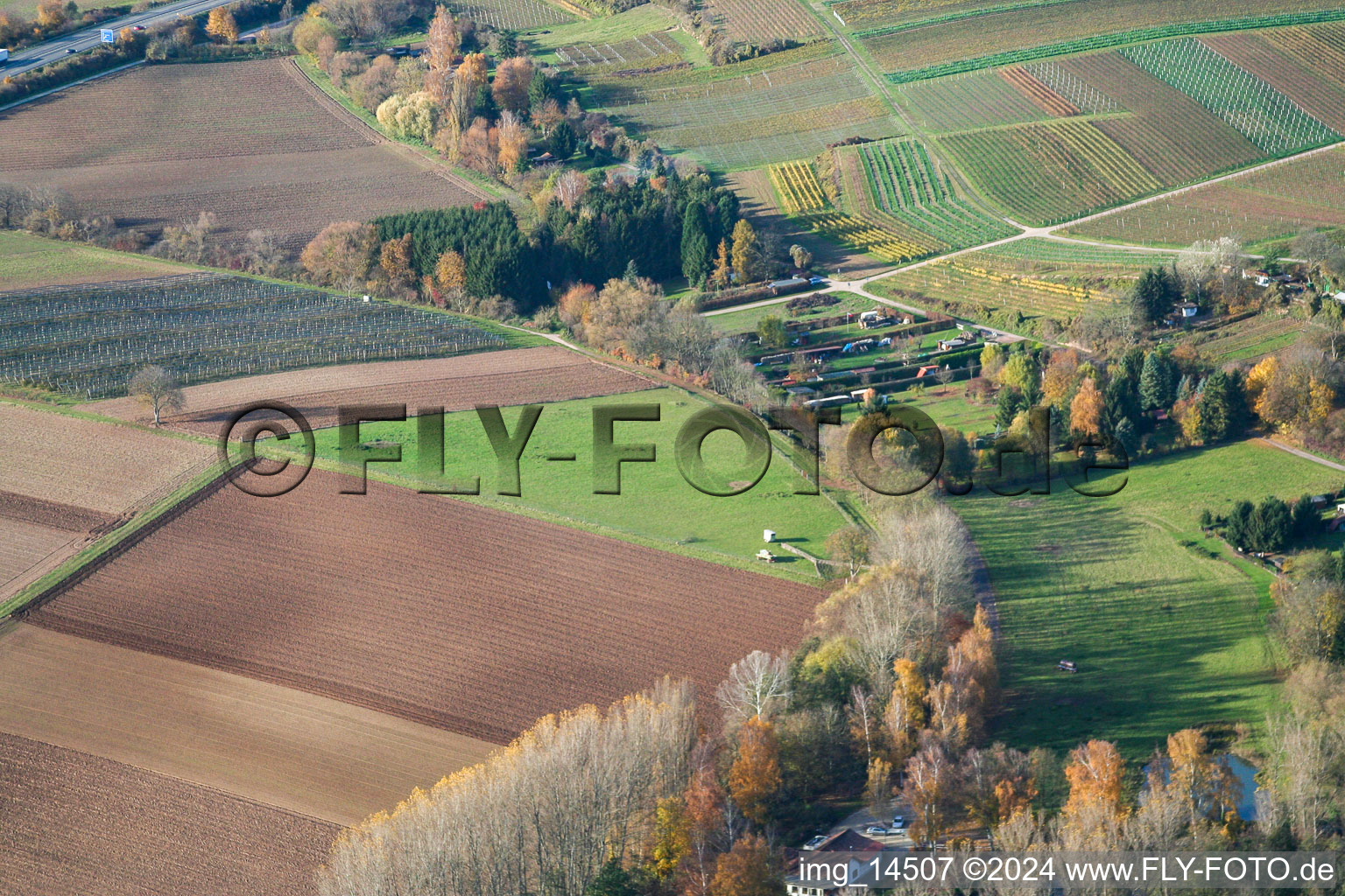 Photographie aérienne de À la cabane du pêcheur à Insheim dans le département Rhénanie-Palatinat, Allemagne