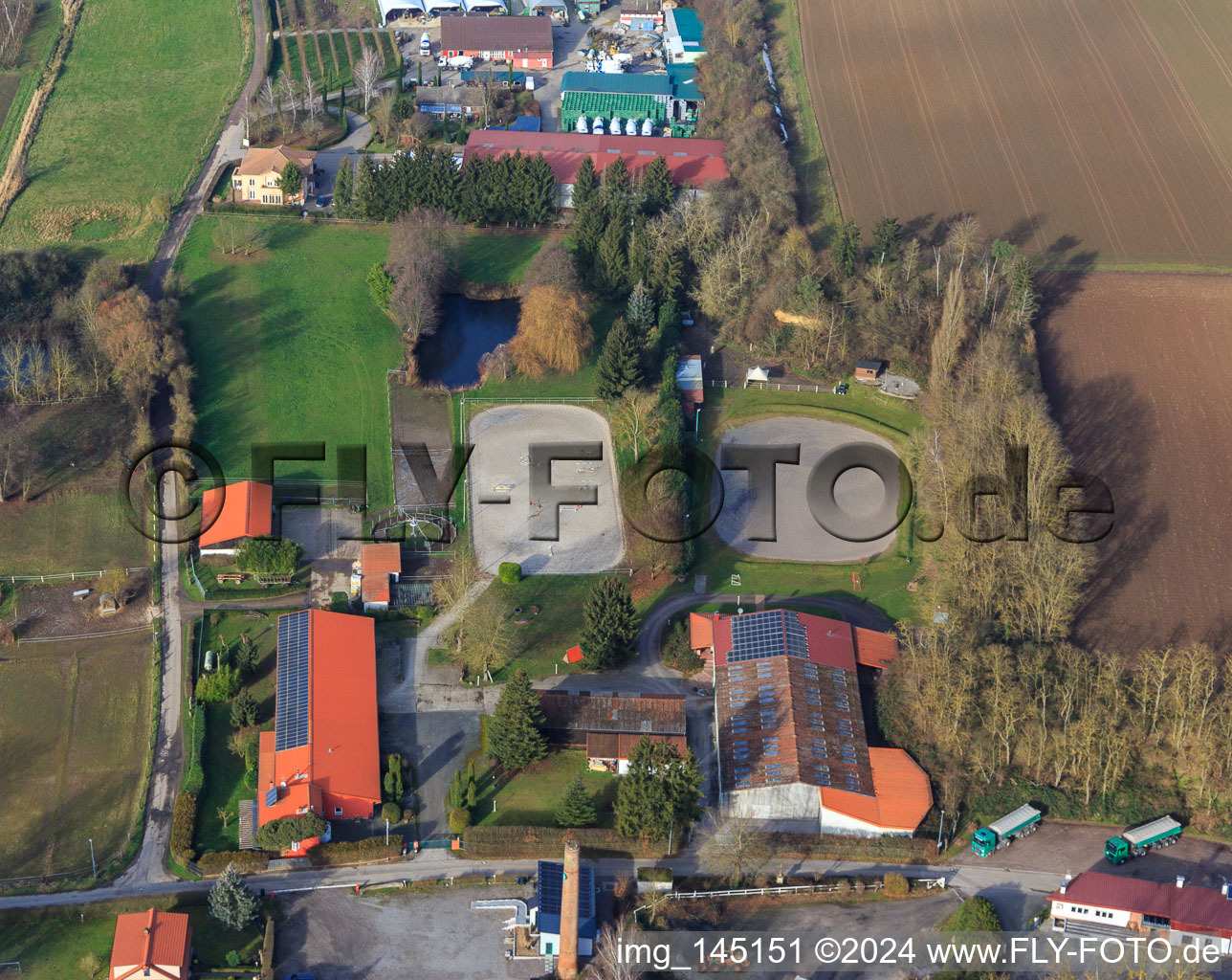 Vue aérienne de Ferme équestre sur Langgasserweg à Herxheim bei Landau dans le département Rhénanie-Palatinat, Allemagne