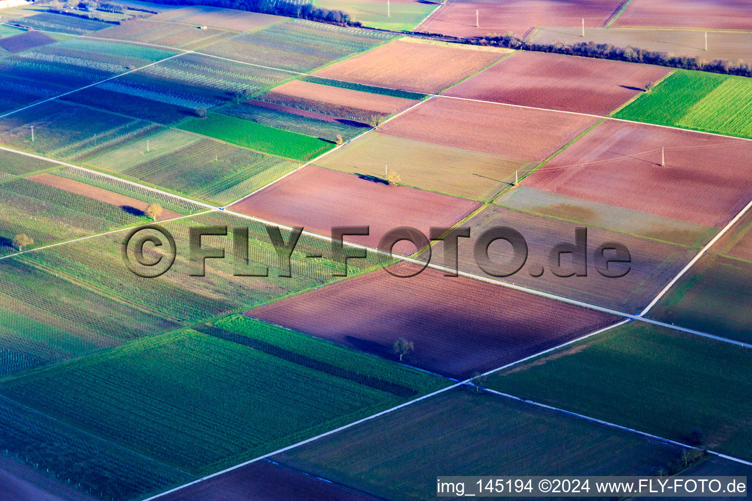 Vue aérienne de Champs et vignes en hiver à Rohrbach dans le département Rhénanie-Palatinat, Allemagne