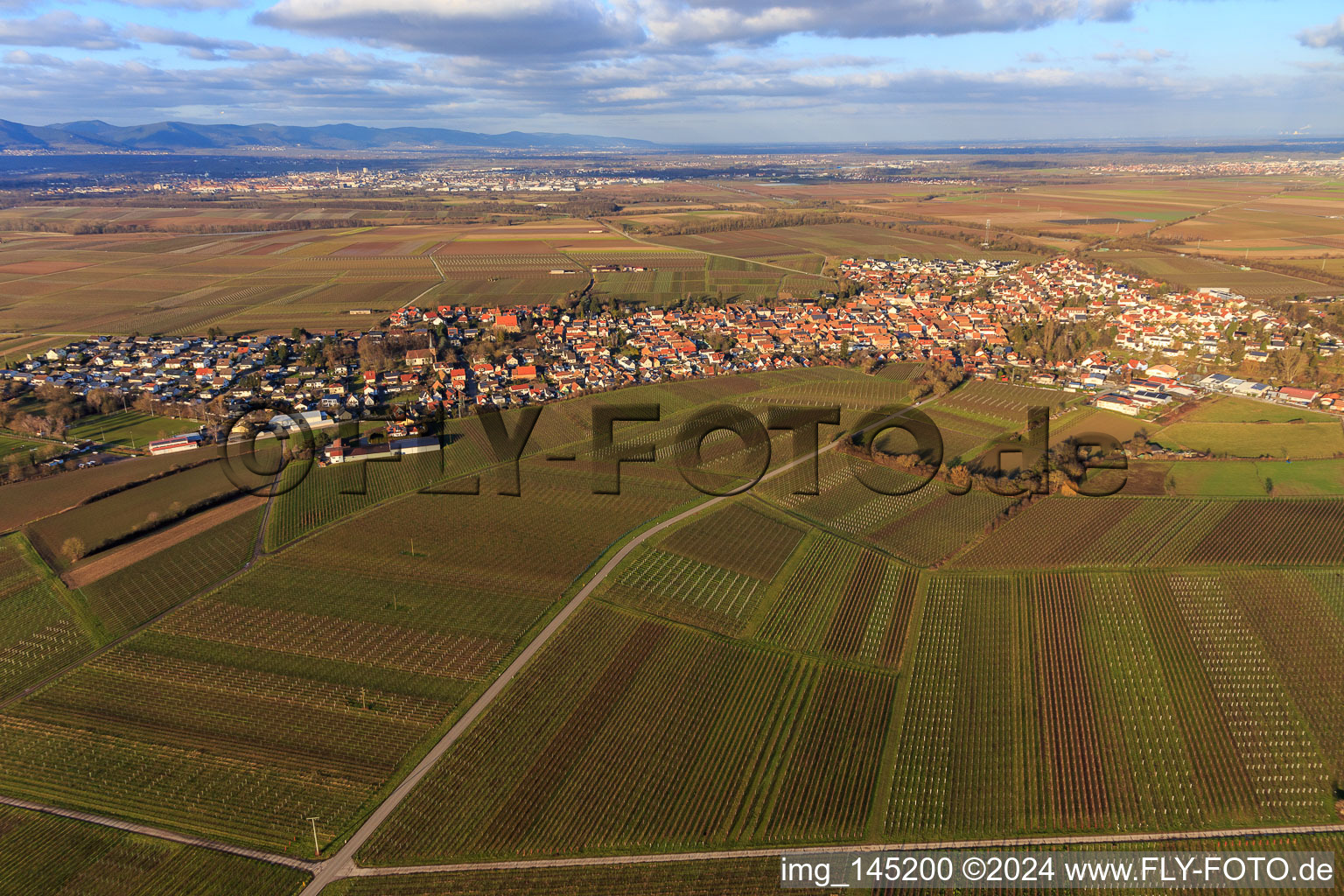 Vue aérienne de Vue de la ville depuis le sud à Insheim dans le département Rhénanie-Palatinat, Allemagne
