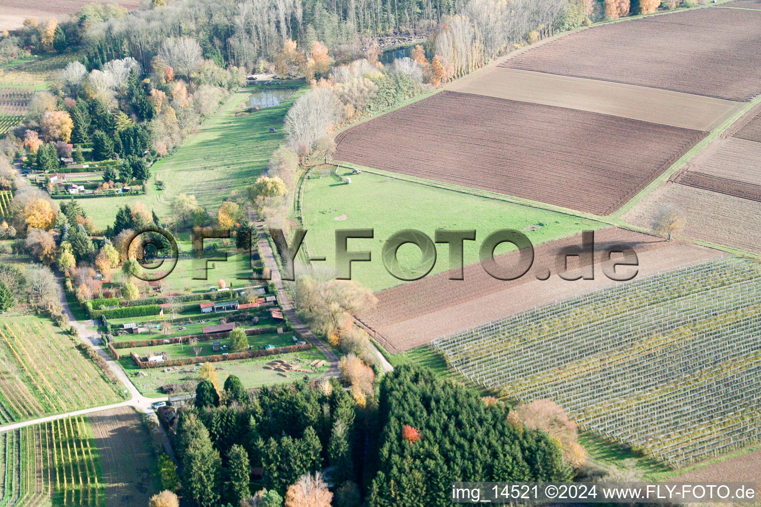 À la cabane du pêcheur à Insheim dans le département Rhénanie-Palatinat, Allemagne depuis l'avion