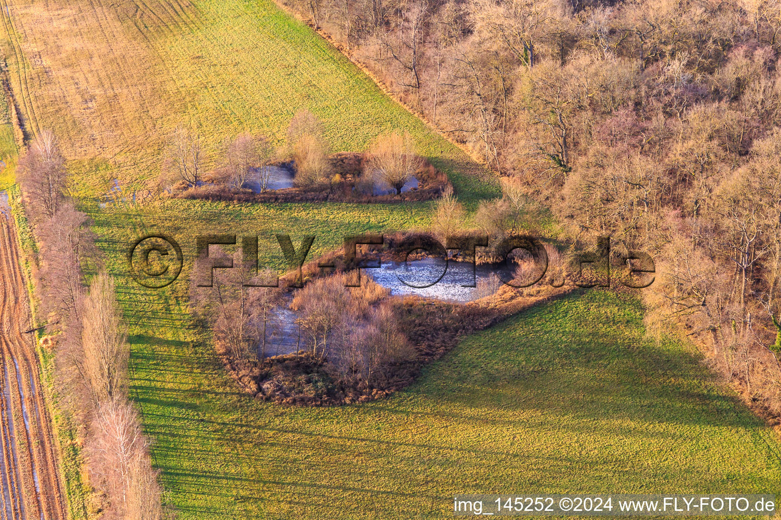Vue aérienne de Biotope d'Altbach à le quartier Minderslachen in Kandel dans le département Rhénanie-Palatinat, Allemagne