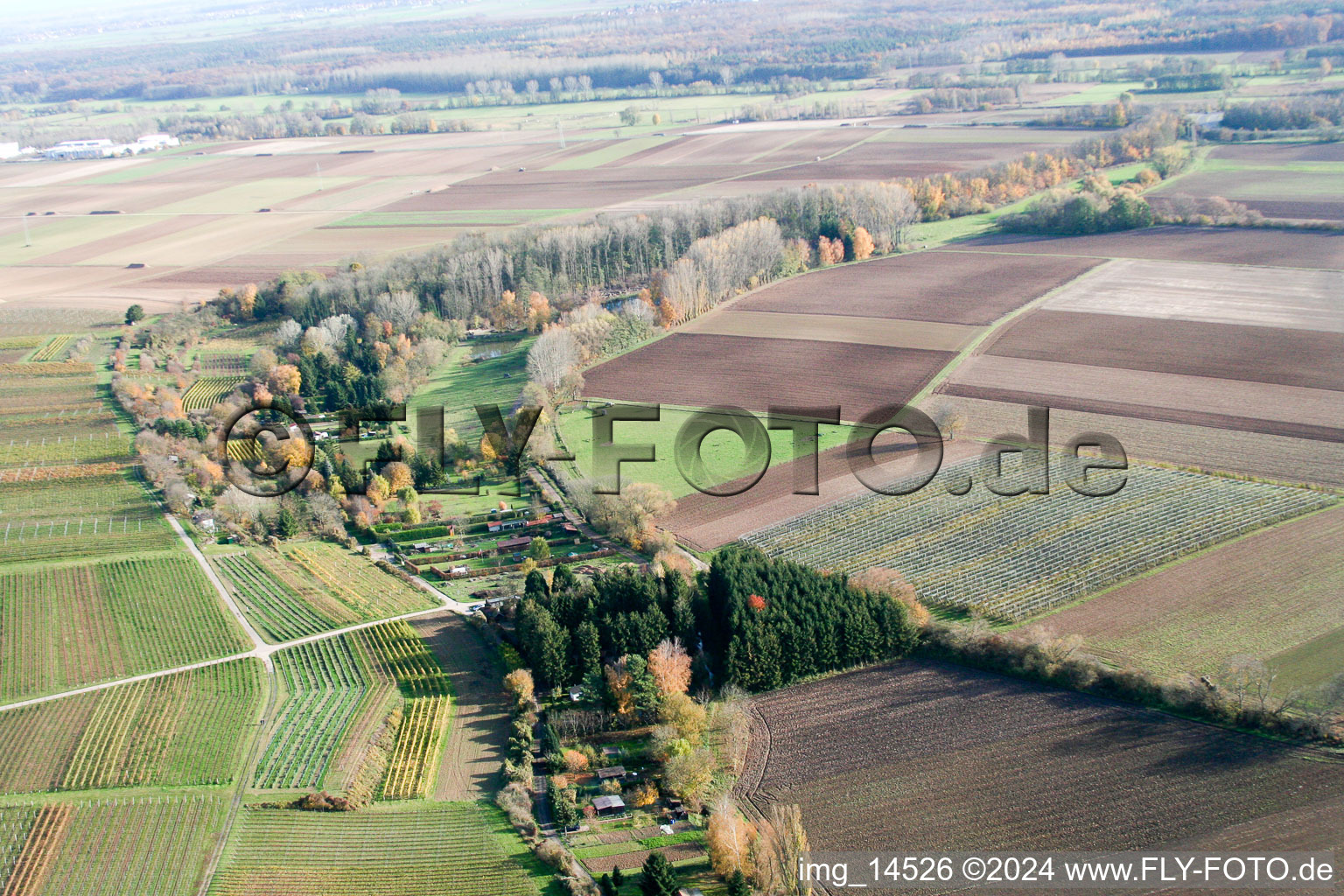 Vue d'oiseau de À la cabane du pêcheur à Insheim dans le département Rhénanie-Palatinat, Allemagne