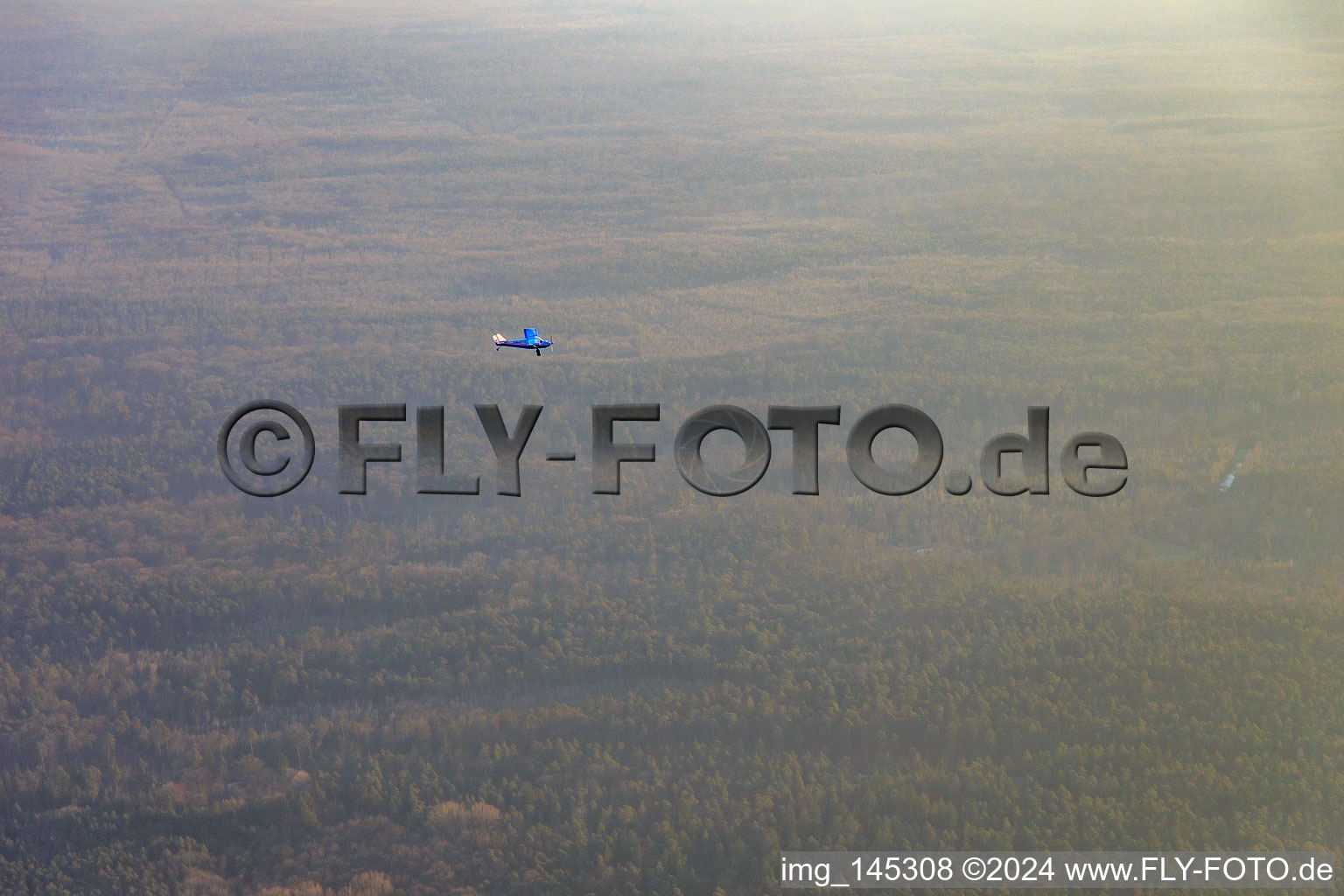 Vue aérienne de Avion de sport D-MFFA au-dessus du Bienwald à le quartier Büchelberg in Wörth am Rhein dans le département Rhénanie-Palatinat, Allemagne