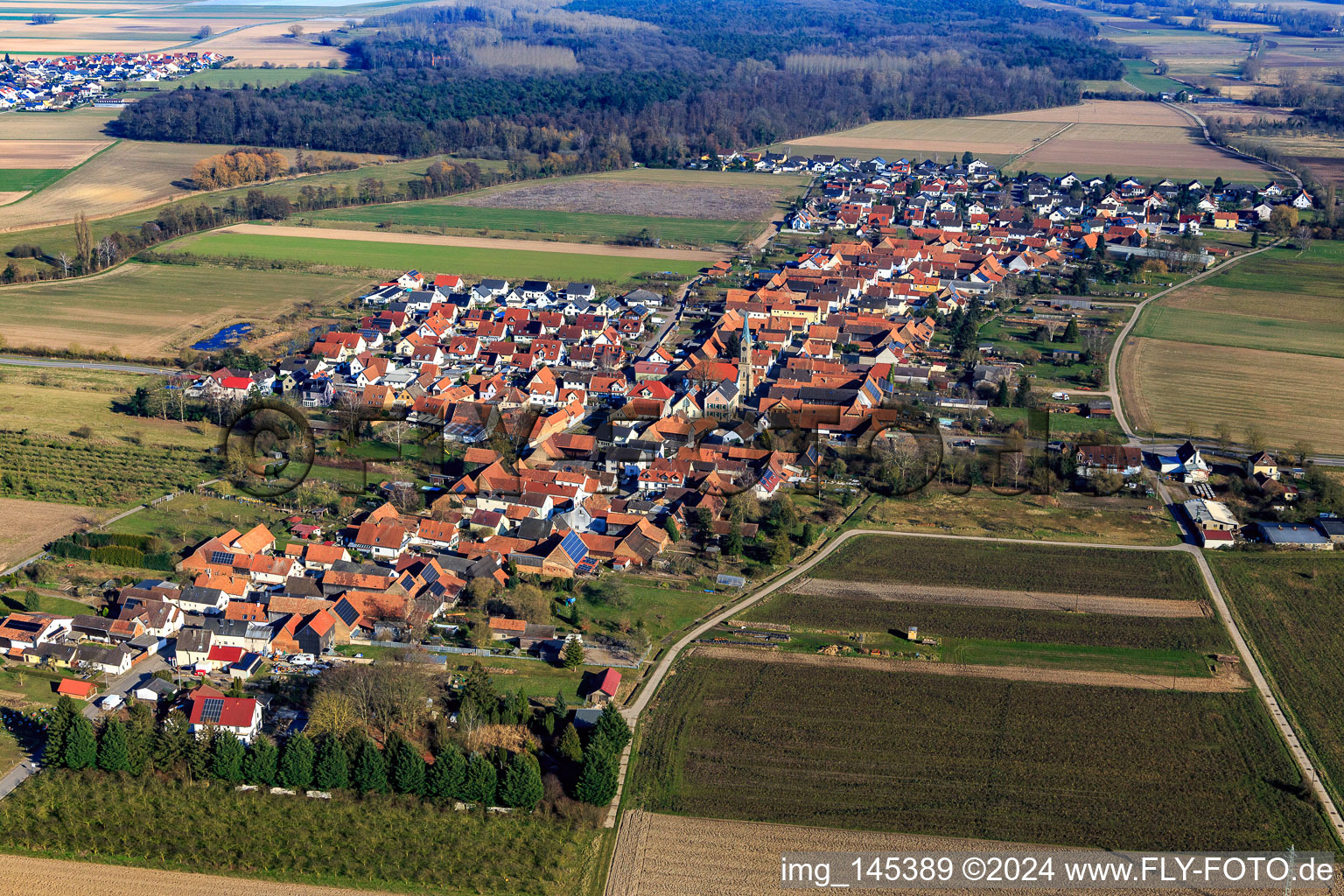 Vue aérienne de Vue du village depuis l'ouest à Erlenbach bei Kandel dans le département Rhénanie-Palatinat, Allemagne
