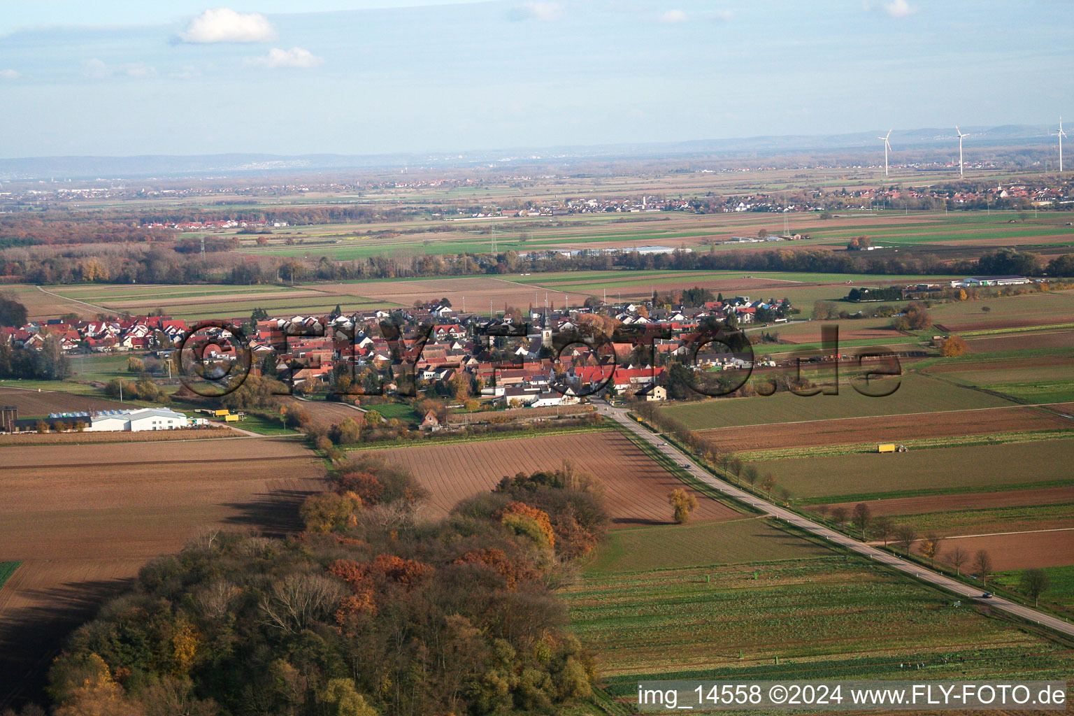 Freimersheim dans le département Rhénanie-Palatinat, Allemagne vu d'un drone