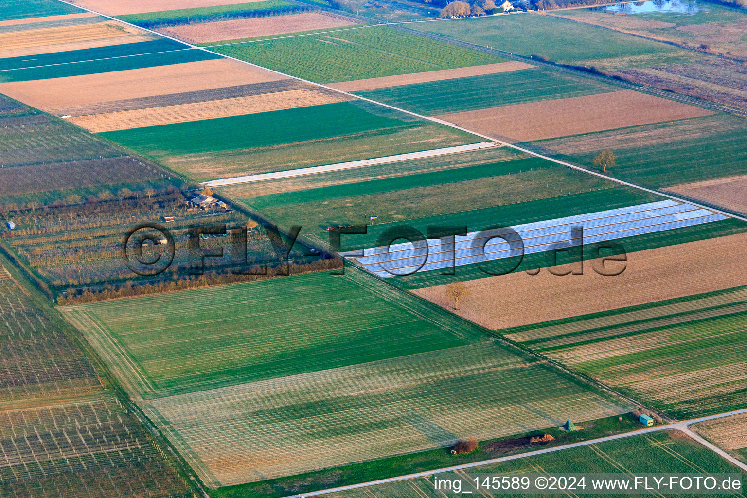 Vue aérienne de Plantation Eier-Meyer à le quartier Mühlhofen in Billigheim-Ingenheim dans le département Rhénanie-Palatinat, Allemagne