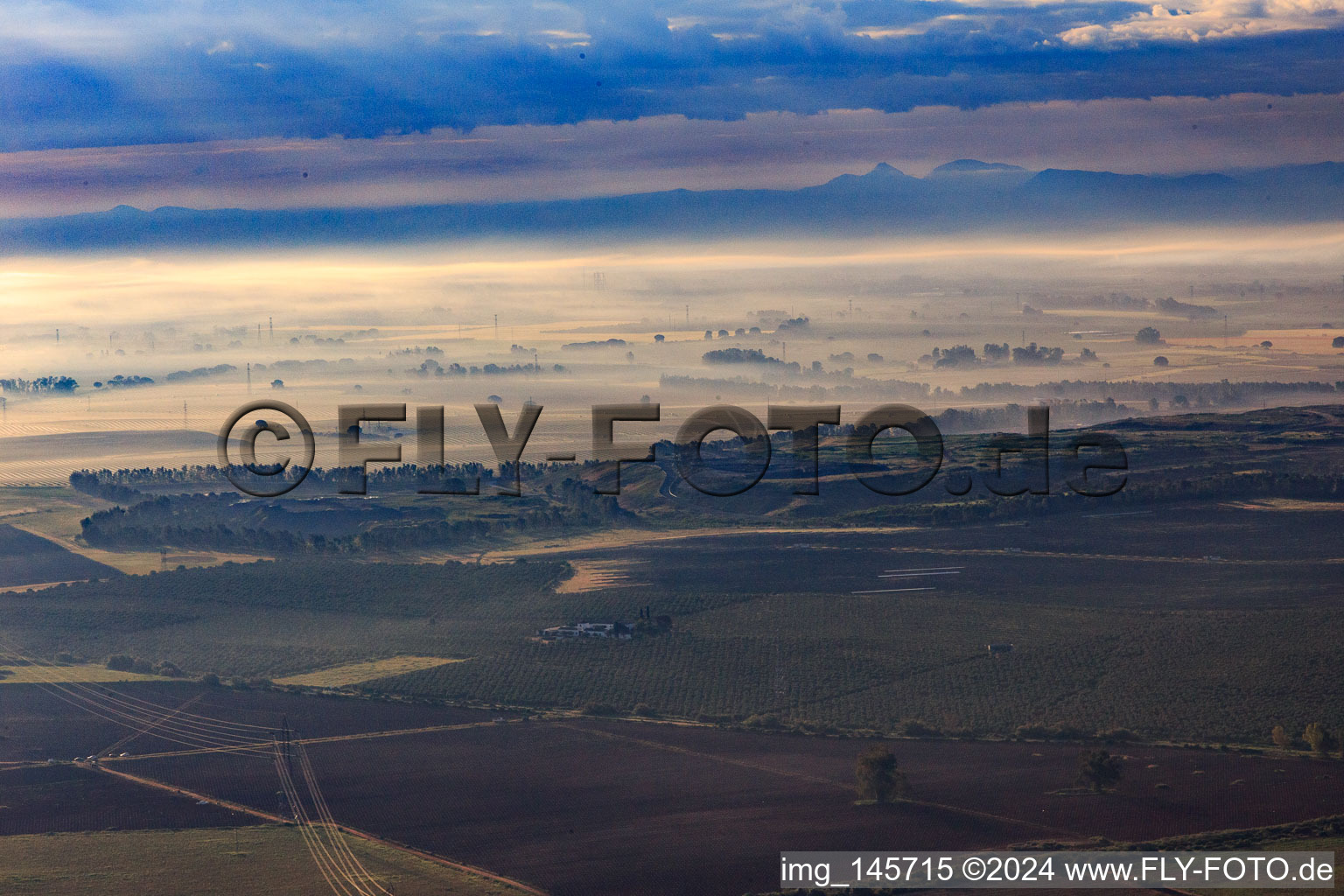 Vue aérienne de Plantations d'oliviers dans la brume matinale à Alcalá de Guadaíra dans le département Séville, Espagne