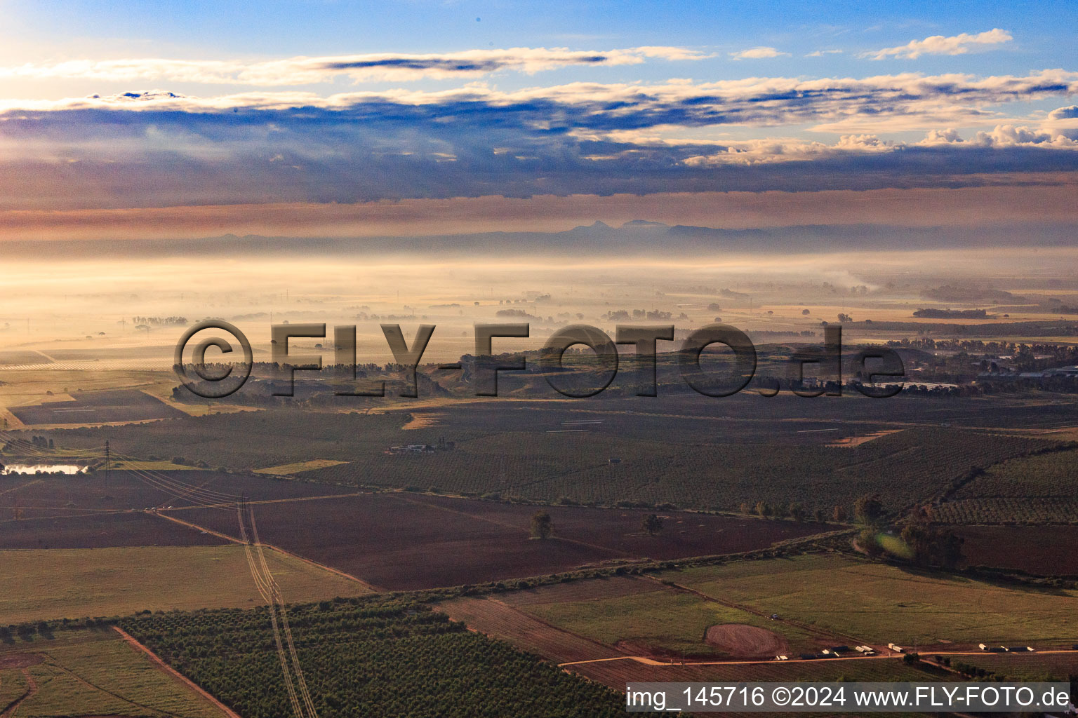 Vue aérienne de Plantations d'oliviers dans la brume matinale à Alcalá de Guadaíra dans le département Séville, Espagne