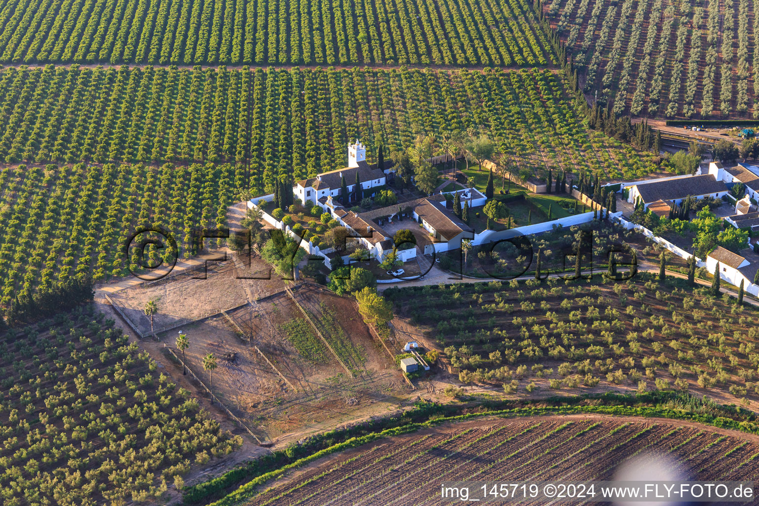 Vue aérienne de Hacienda de Clarevot entre les plantations d'oliviers à Alcalá de Guadaíra dans le département Séville, Espagne