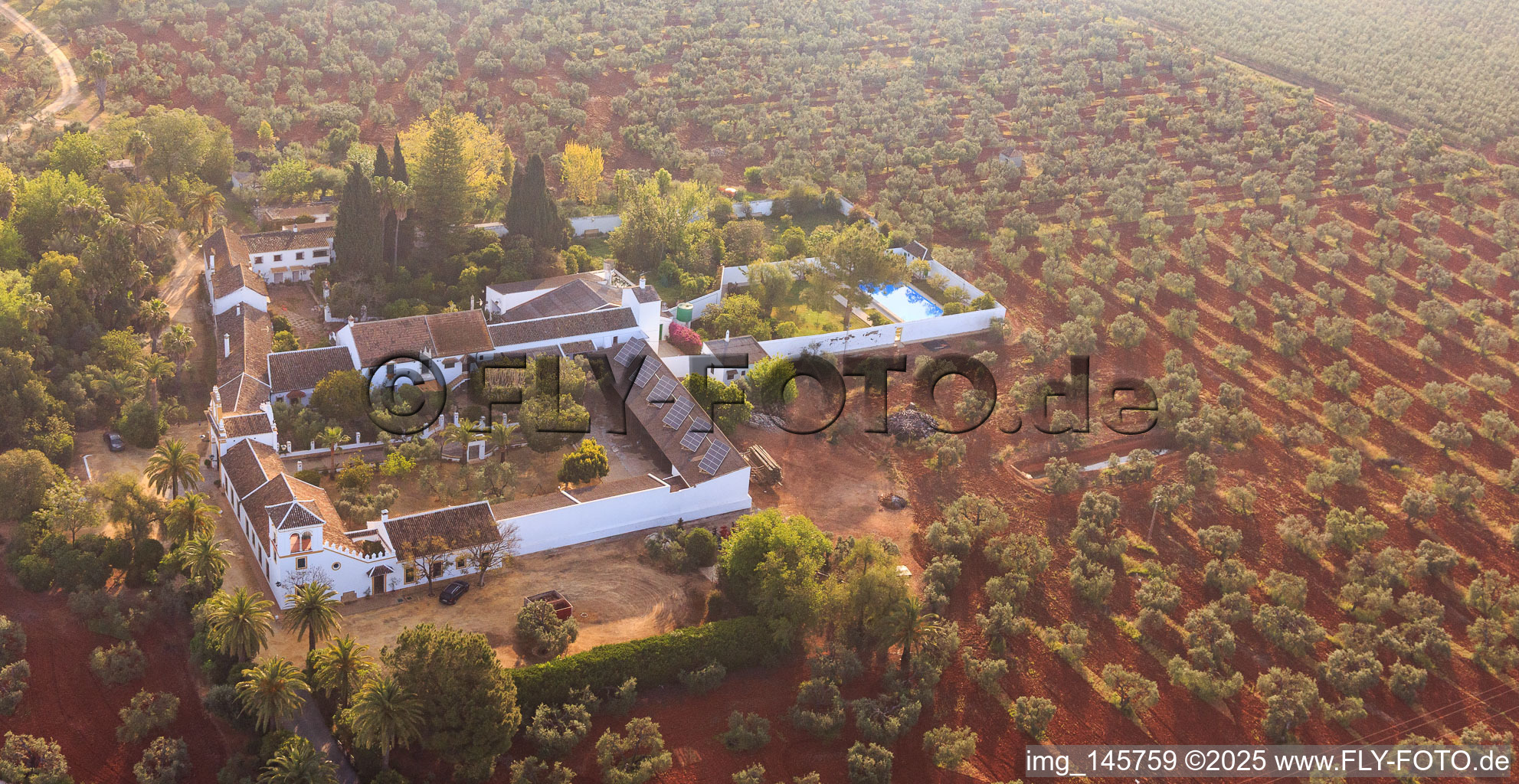 Vue aérienne de Hacienda nueva del Rosario entre les plantations d'oliviers sur l'autoroute A-4 del Sur à Dos Hermanas dans le département Séville, Espagne