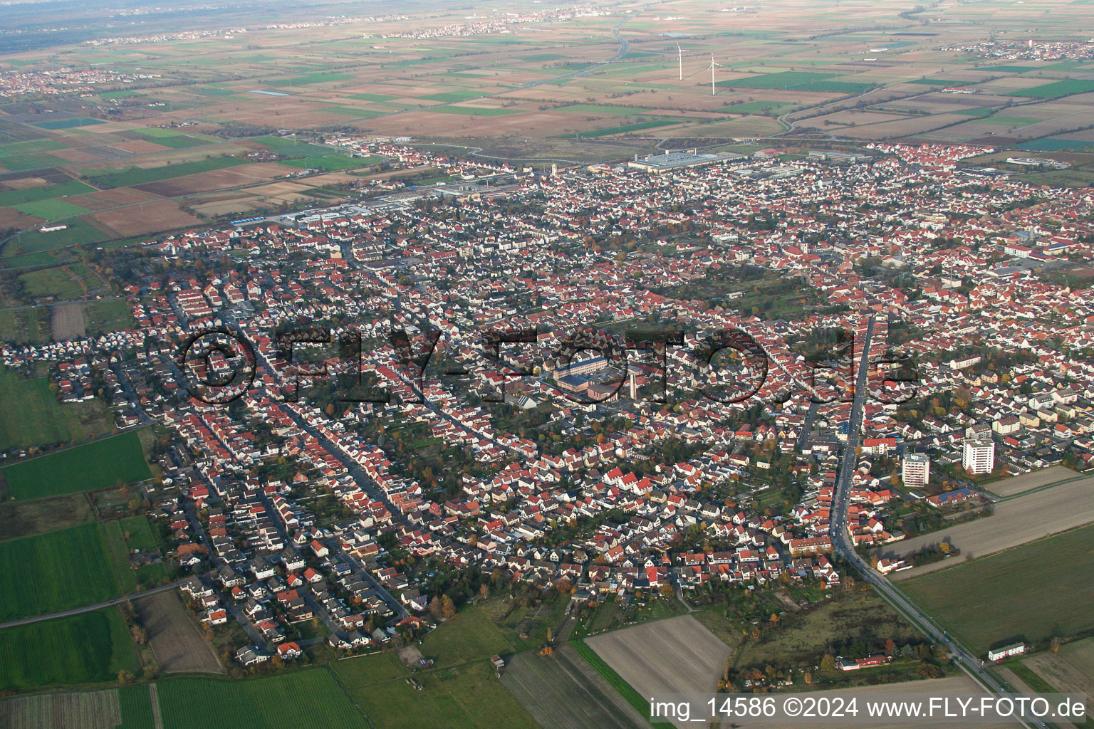 Vue aérienne de Vue des rues et des maisons des quartiers résidentiels à Haßloch dans le département Rhénanie-Palatinat, Allemagne