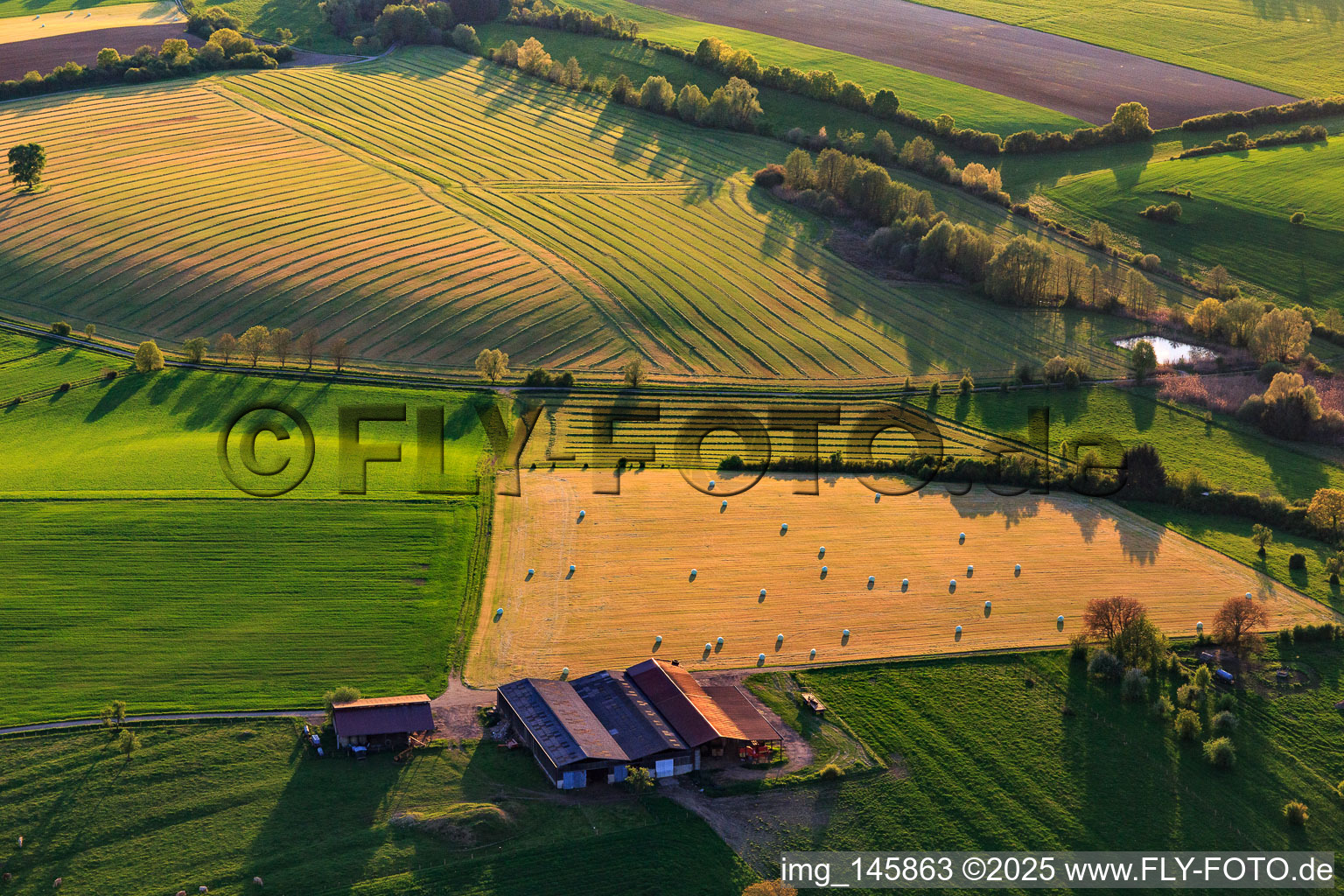 Vue aérienne de Prairies fauchées avec des balles de foin dans une ferme à Rexingen dans le département Bas Rhin, France
