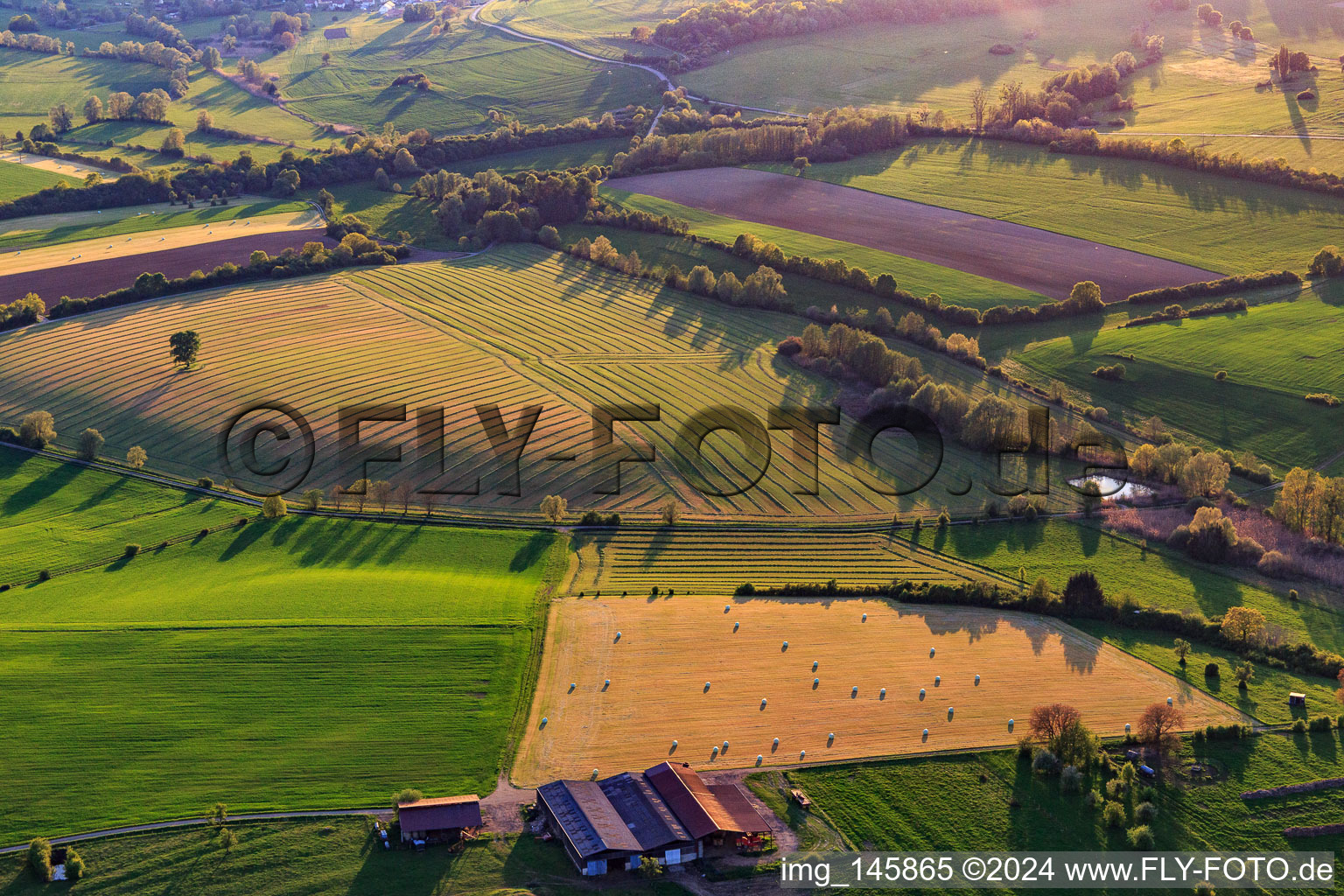 Vue aérienne de Prairies fauchées avec des balles de foin dans une ferme à Rexingen dans le département Bas Rhin, France