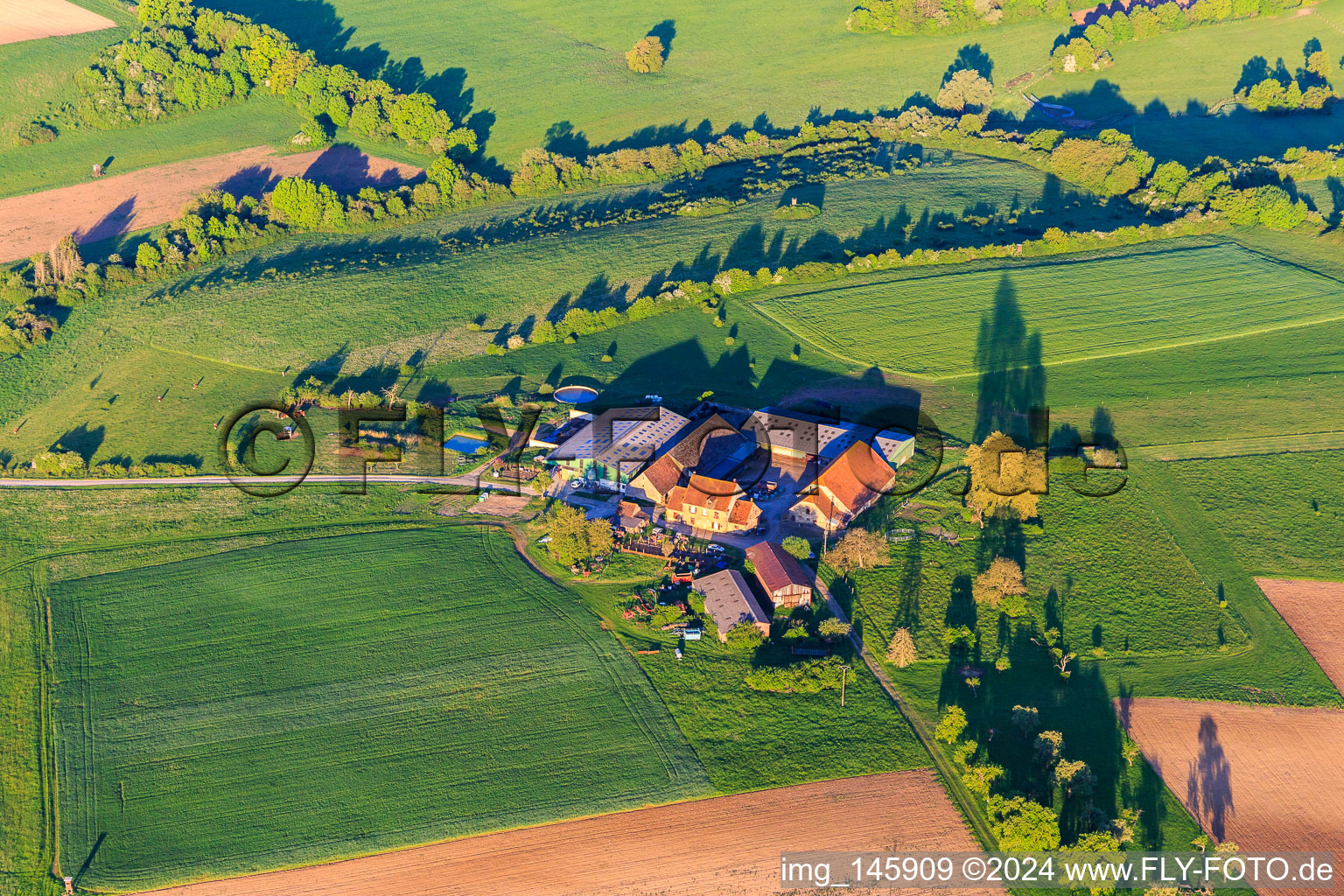 Vue aérienne de Ferme à Langenwald à Dehlingen dans le département Bas Rhin, France