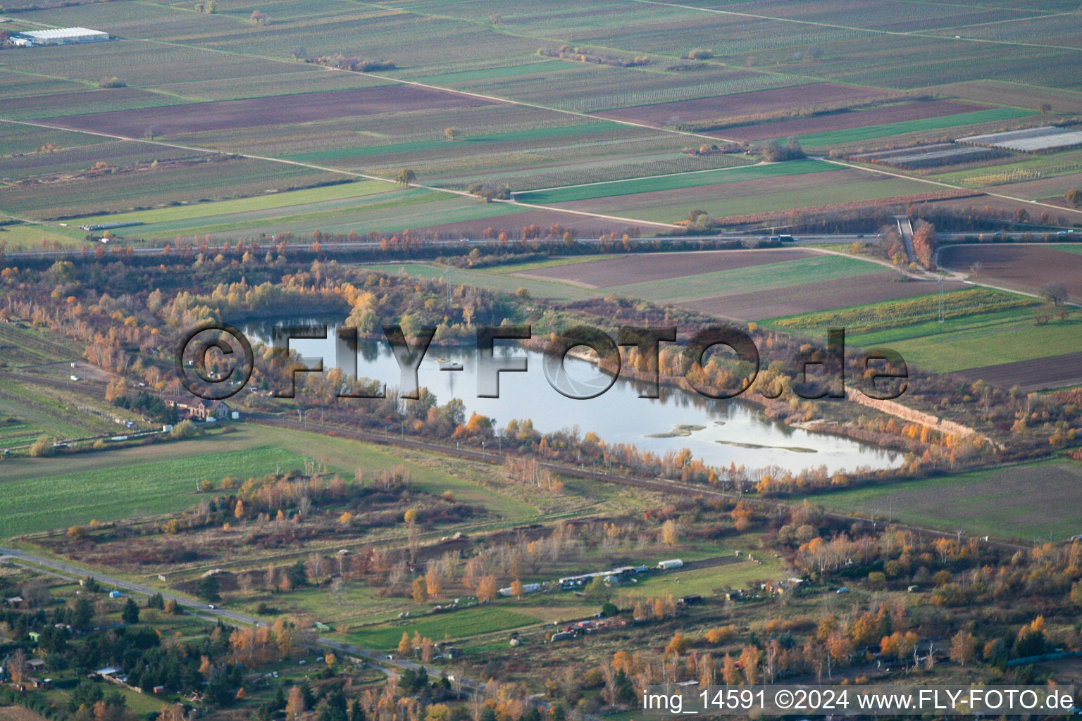 Image drone de Haßloch dans le département Rhénanie-Palatinat, Allemagne