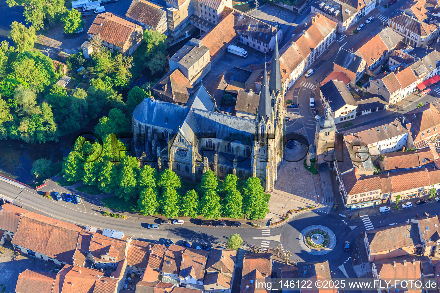 Photographie aérienne de Église Saint-Martin (Cathédrale de la Sarre) à Sarralbe dans le département Moselle, France
