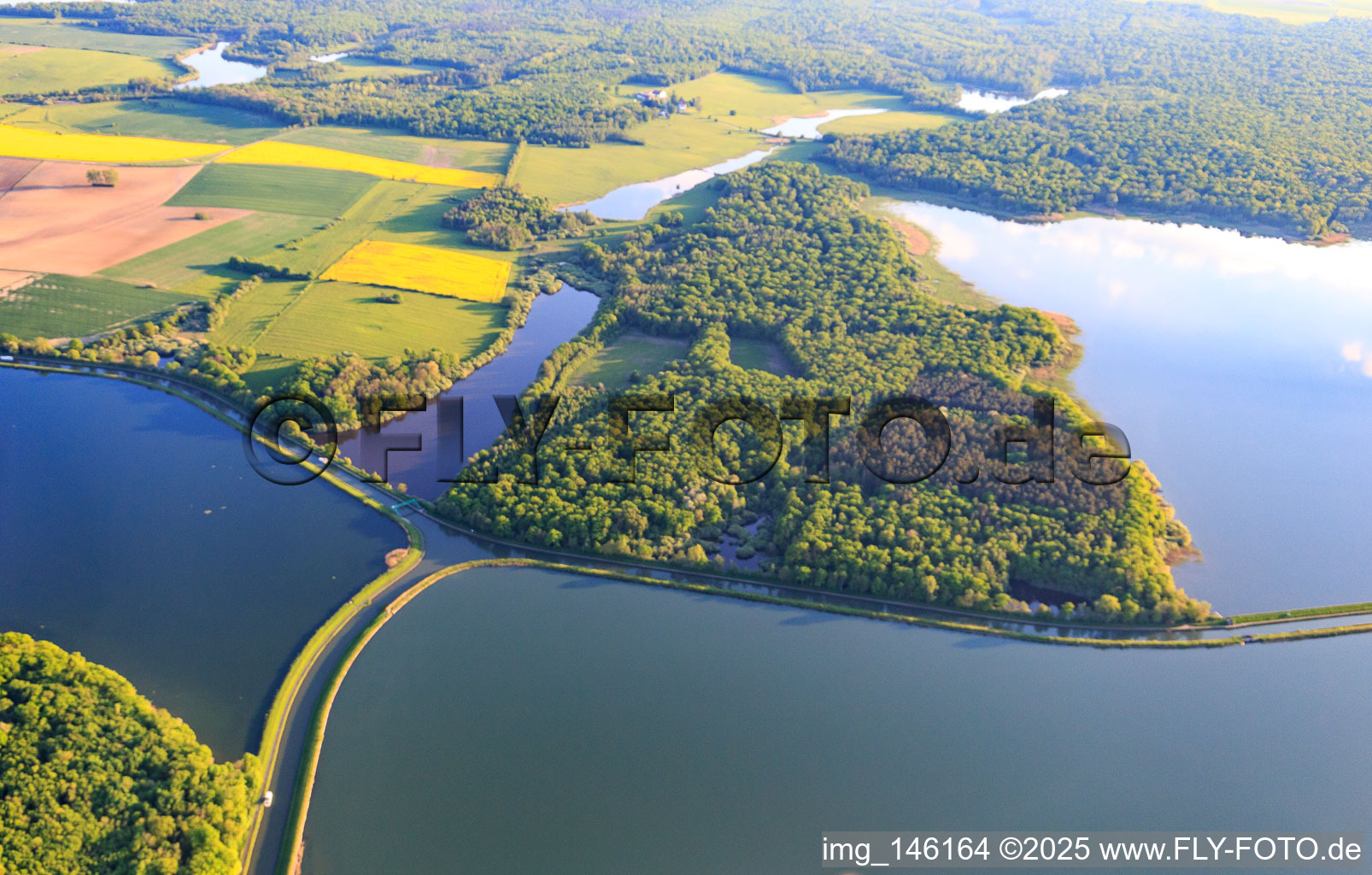 Vue oblique de Intersection des deux canaux, le canal Rhin-Marne et le canal des houllères de la Sarre dans les lacs Le Petit Étang et Le Grand Ruisseau à Gondrexange dans le département Moselle, France