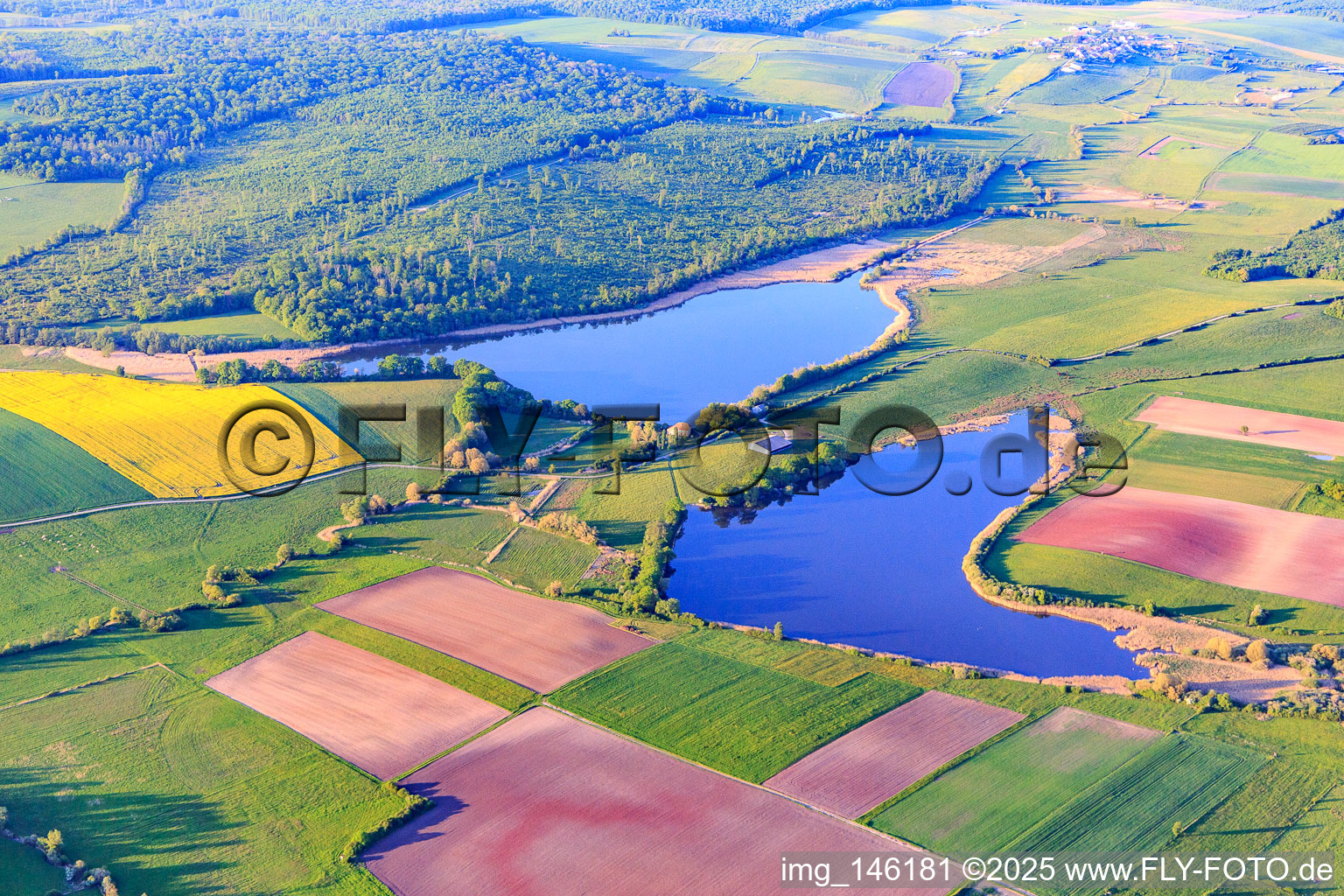Vue aérienne de Étang de Nolweyer et Haut Weyer du sud-est à Belles-Forêts dans le département Moselle, France