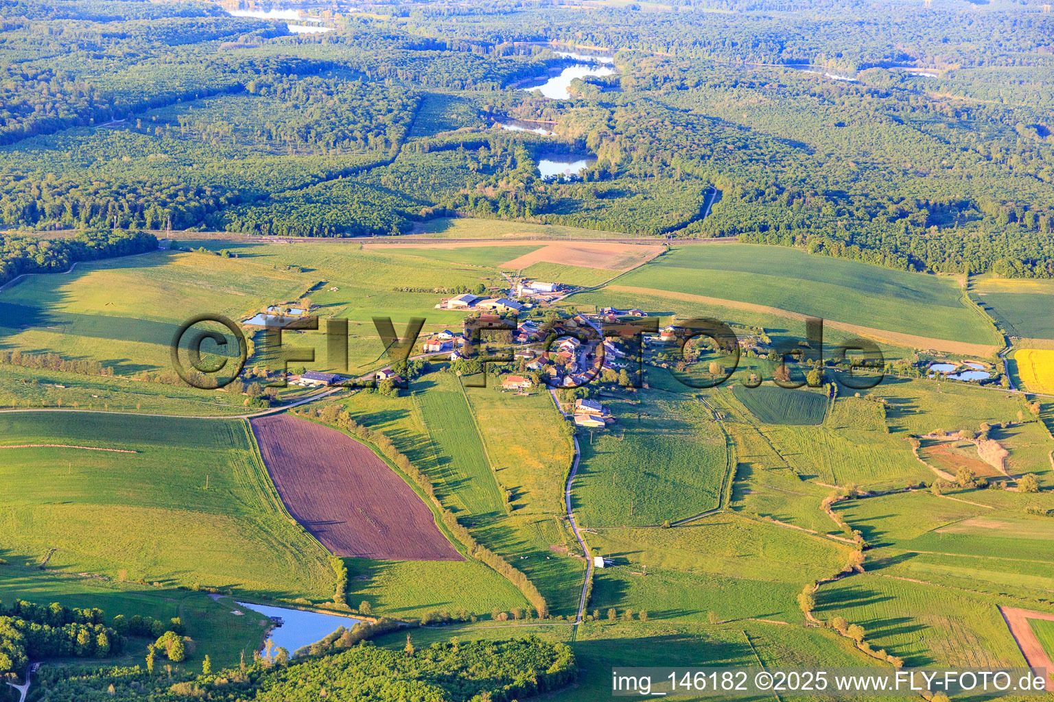 Vue aérienne de Quartier d'Angwiller-Les-Bisping au sud-ouest à Belles-Forêts dans le département Moselle, France