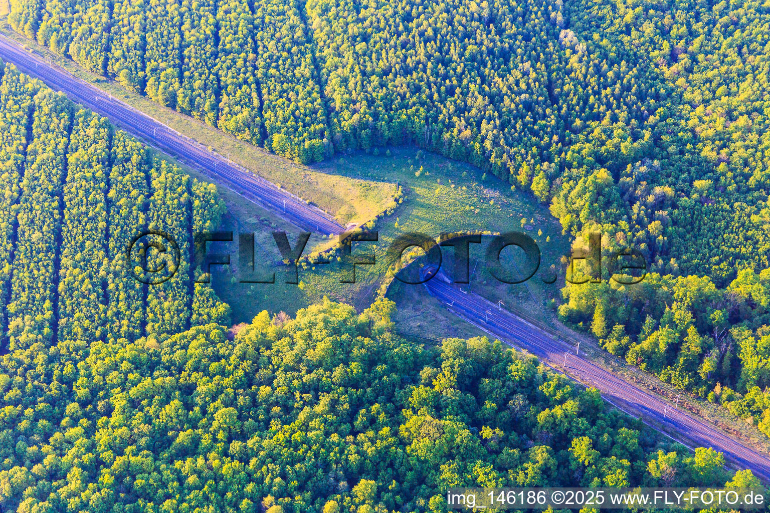 Vue aérienne de Pont pour la faune au-dessus de la voie ferrée à Loudrefing dans le département Moselle, France
