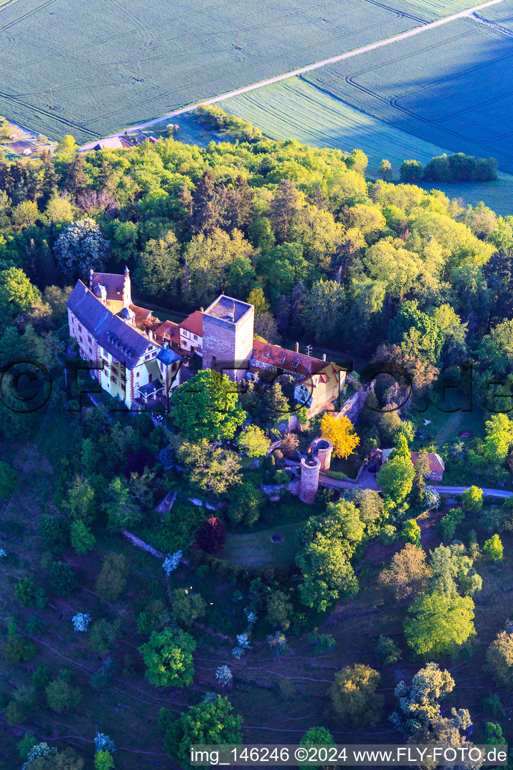 Vue aérienne de Château et parc du château Gamburg à le quartier Gamburg in Werbach dans le département Bade-Wurtemberg, Allemagne