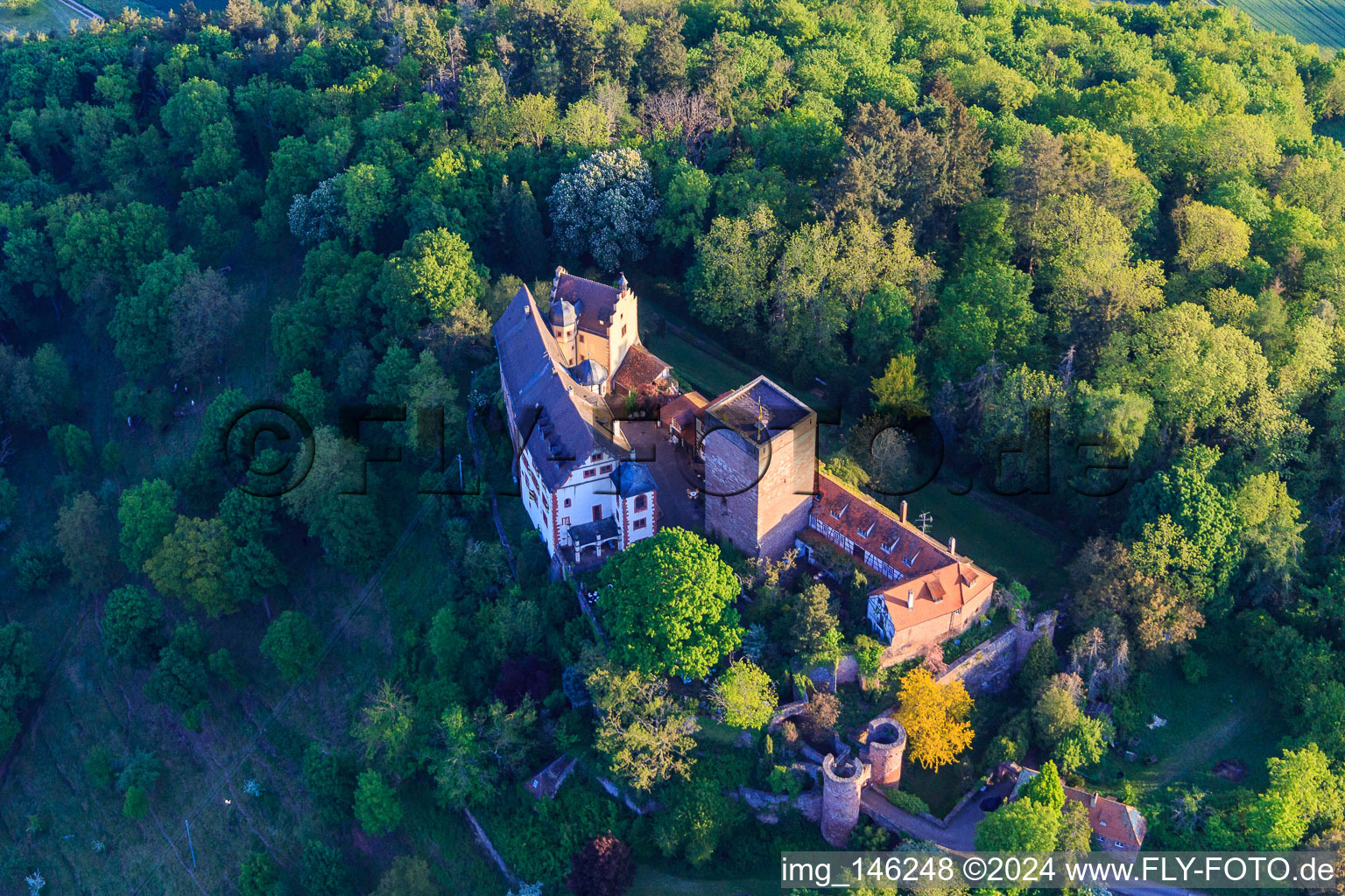 Photographie aérienne de Château et parc du château Gamburg à le quartier Gamburg in Werbach dans le département Bade-Wurtemberg, Allemagne