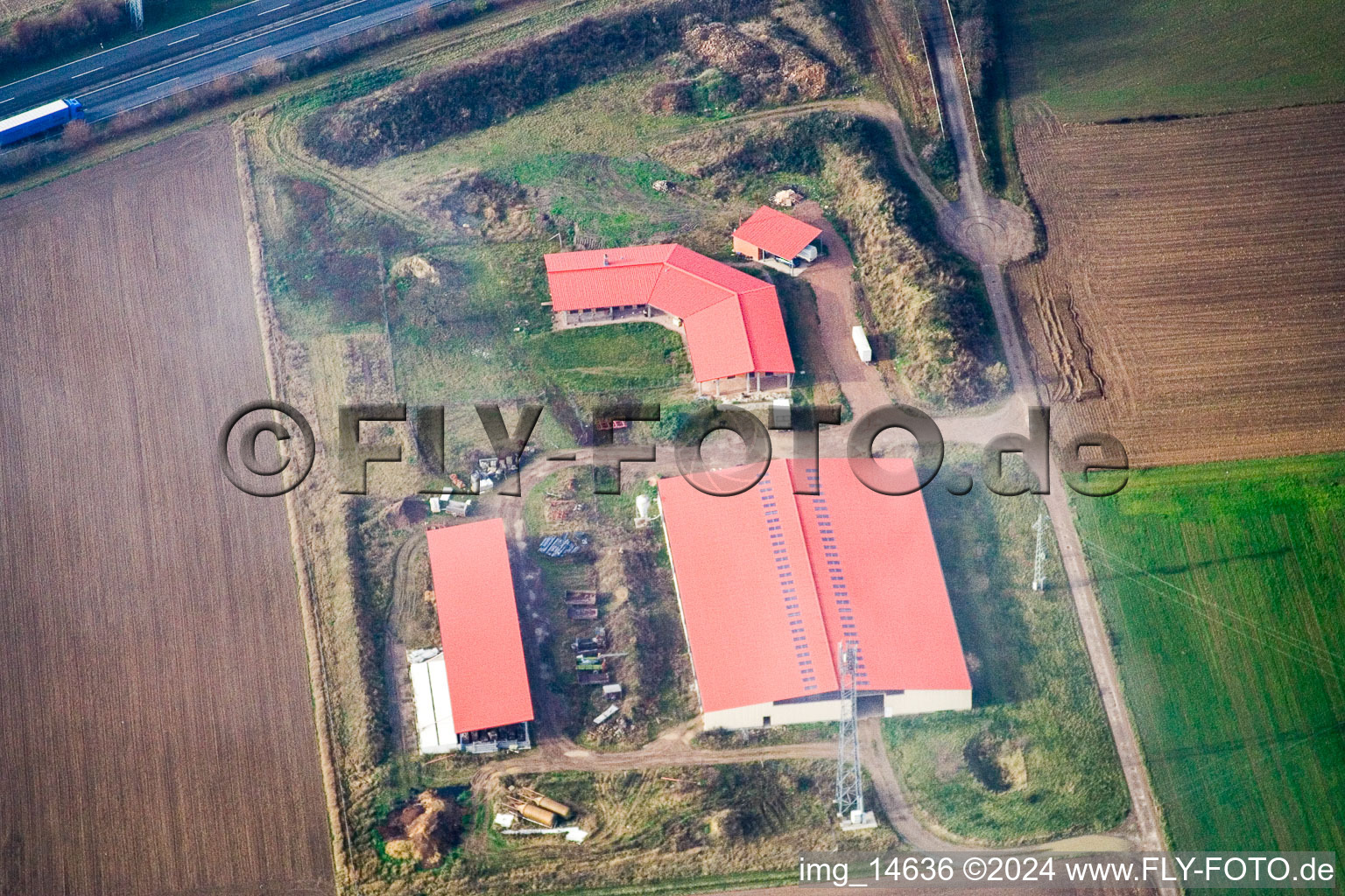 Ferme d'œufs de ferme de poulets à Erlenbach bei Kandel dans le département Rhénanie-Palatinat, Allemagne depuis l'avion