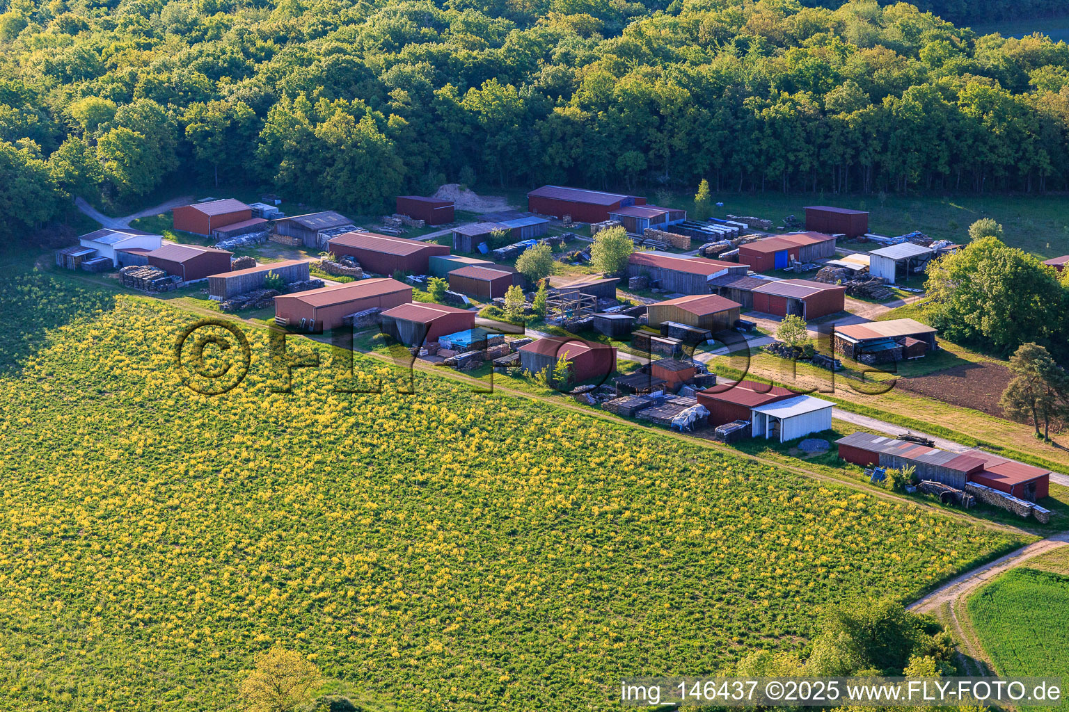 Vue aérienne de Espace intérieur en lisière de forêt à Tauberrettersheim dans le département Bavière, Allemagne