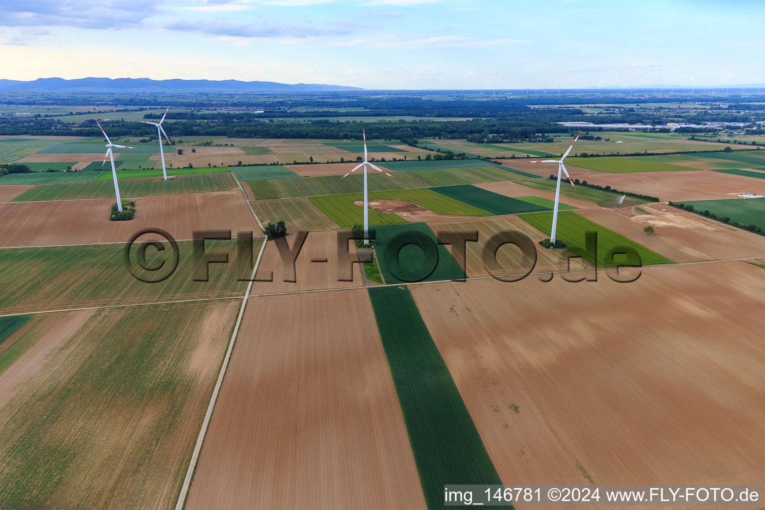 Parc éolien Minfeld à Minfeld dans le département Rhénanie-Palatinat, Allemagne vue d'en haut