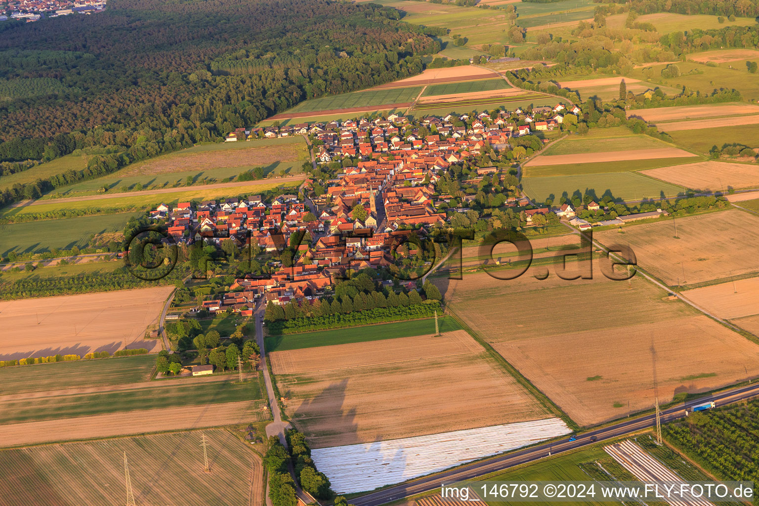 Vue aérienne de Vue du village depuis le nord-ouest à Erlenbach bei Kandel dans le département Rhénanie-Palatinat, Allemagne