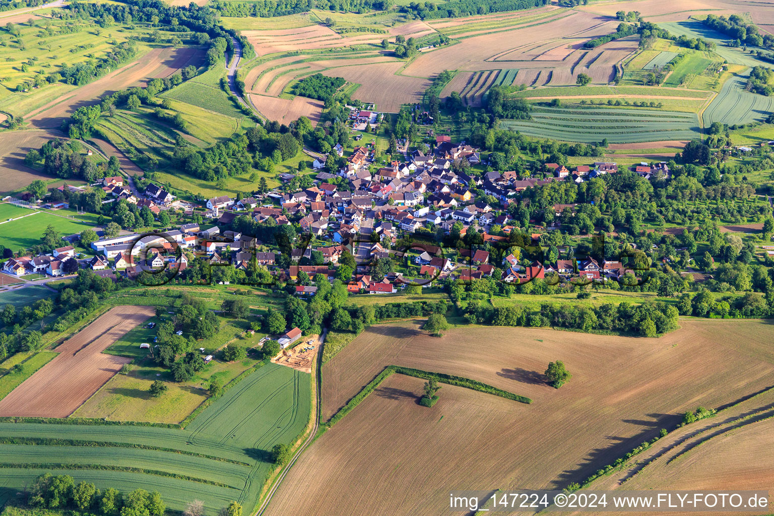 Vue aérienne de Vue du village depuis le nord à le quartier Wallburg in Ettenheim dans le département Bade-Wurtemberg, Allemagne