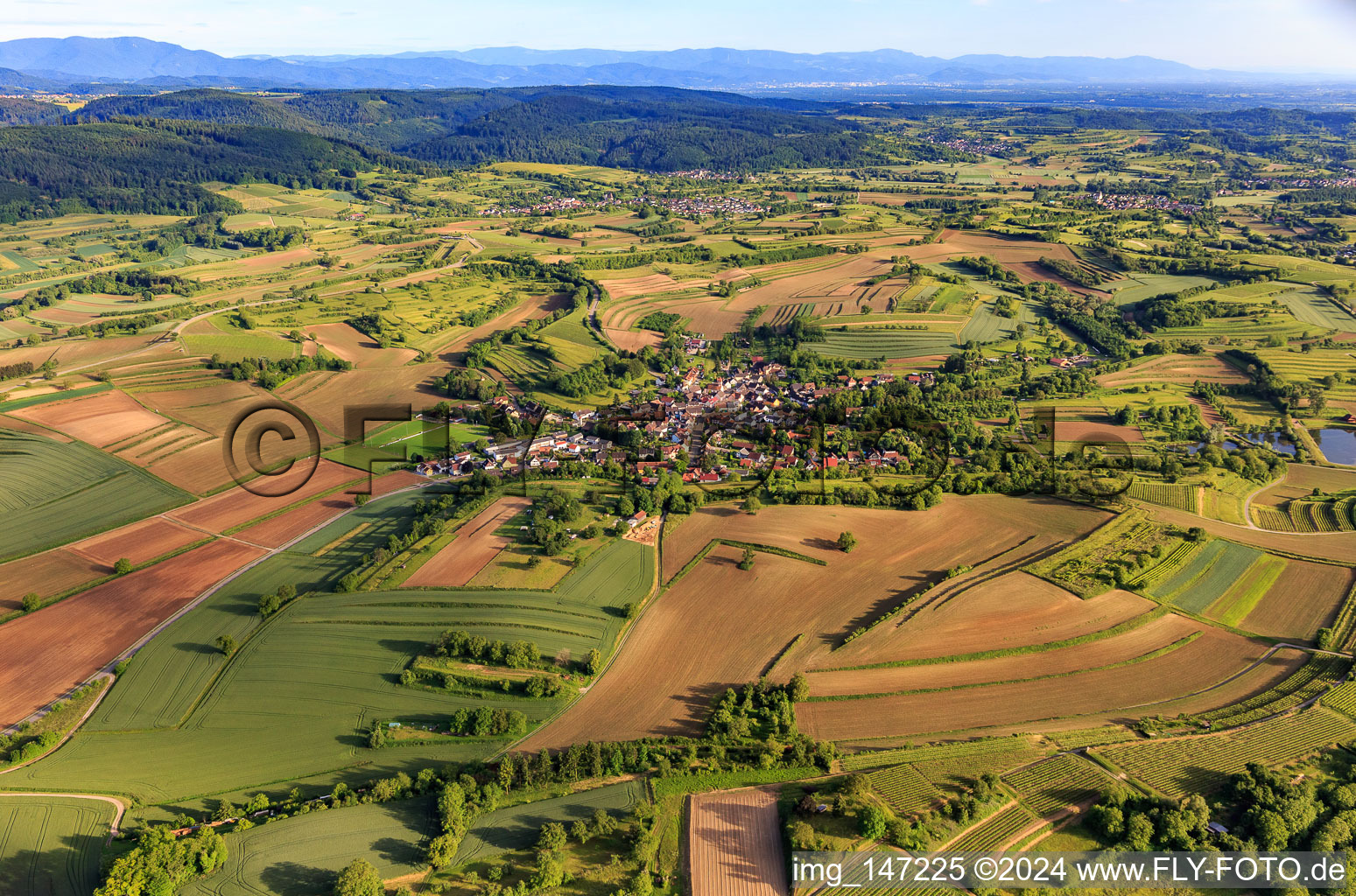 Vue aérienne de Vue du village depuis le nord à le quartier Wallburg in Ettenheim dans le département Bade-Wurtemberg, Allemagne