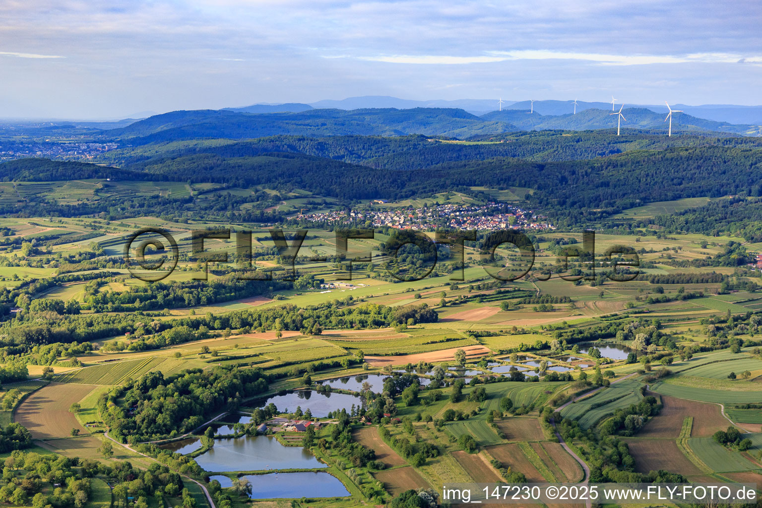Vue aérienne de Étang à poissons sur le ruisseau latéral à Ettenheim dans le département Bade-Wurtemberg, Allemagne