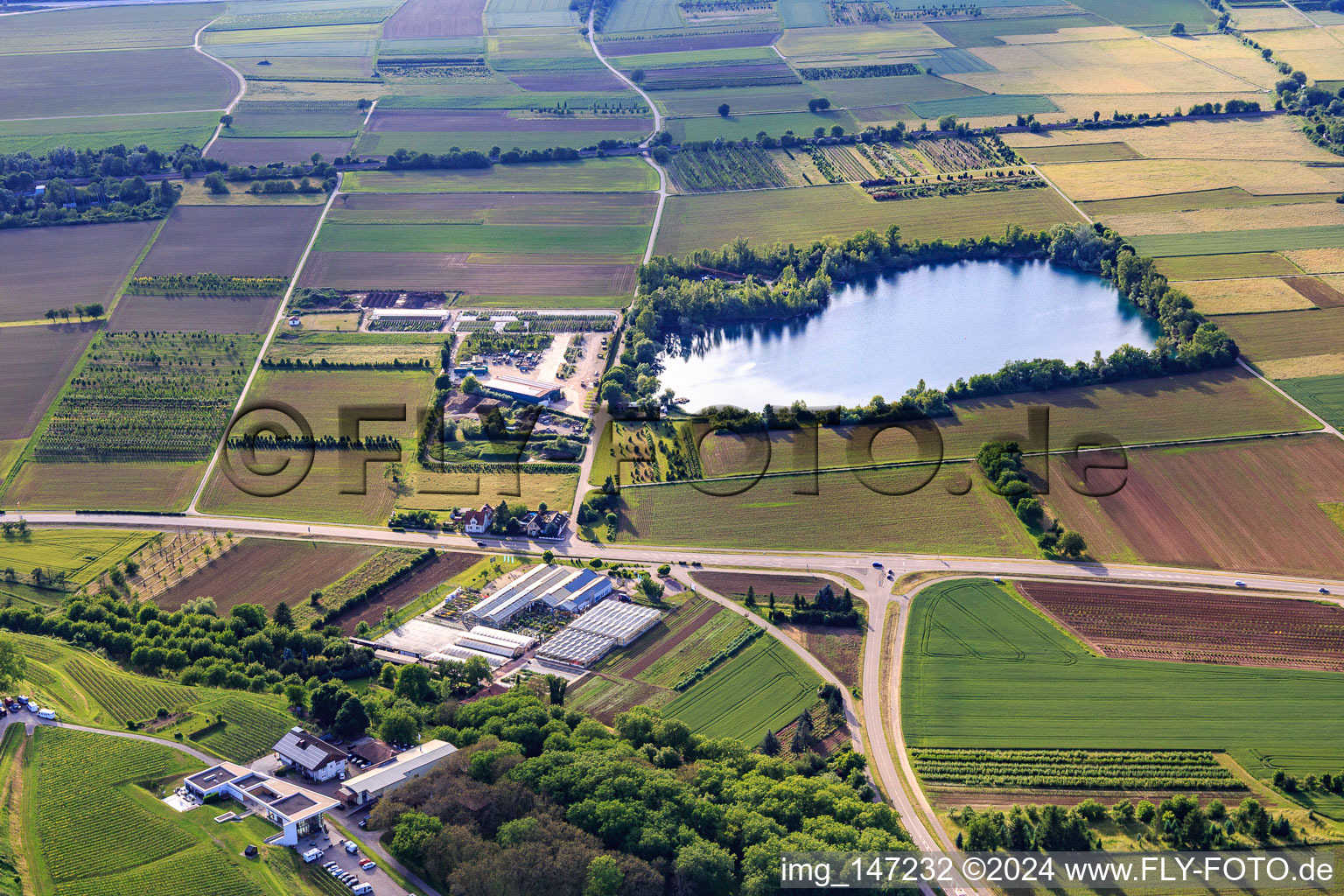 Vue aérienne de Lac Apôtre du club de pêche Ettenheim eV à Ettenheim dans le département Bade-Wurtemberg, Allemagne