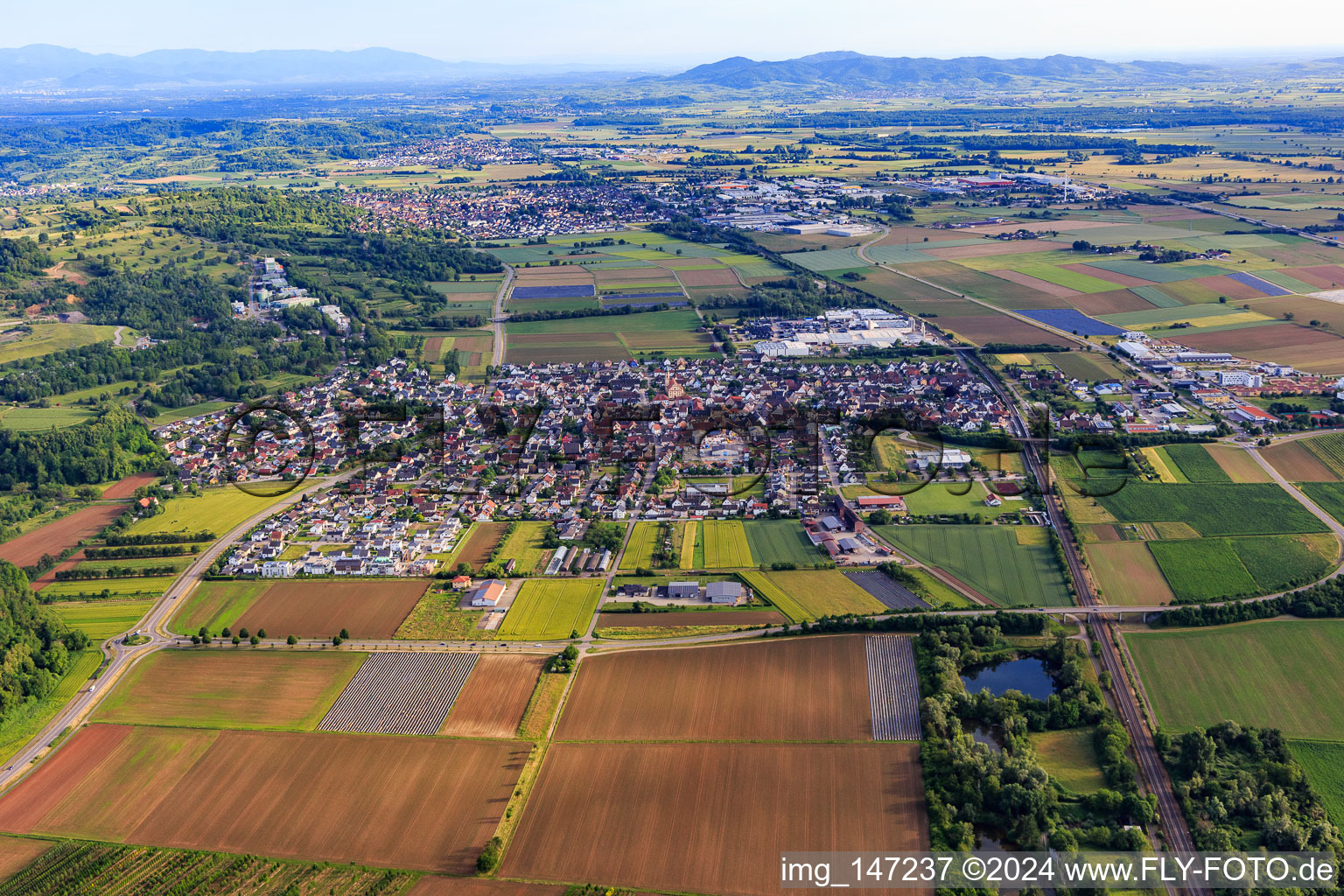 Vue aérienne de Vue du nord à Ringsheim dans le département Bade-Wurtemberg, Allemagne