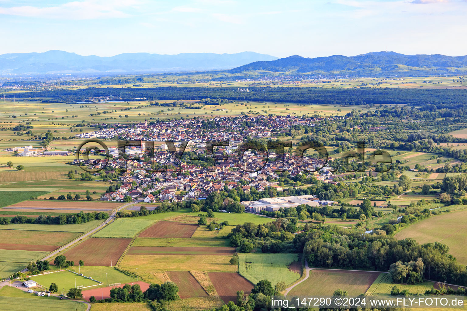 Vue aérienne de Vue du nord à le quartier Niederhausen in Rheinhausen dans le département Bade-Wurtemberg, Allemagne