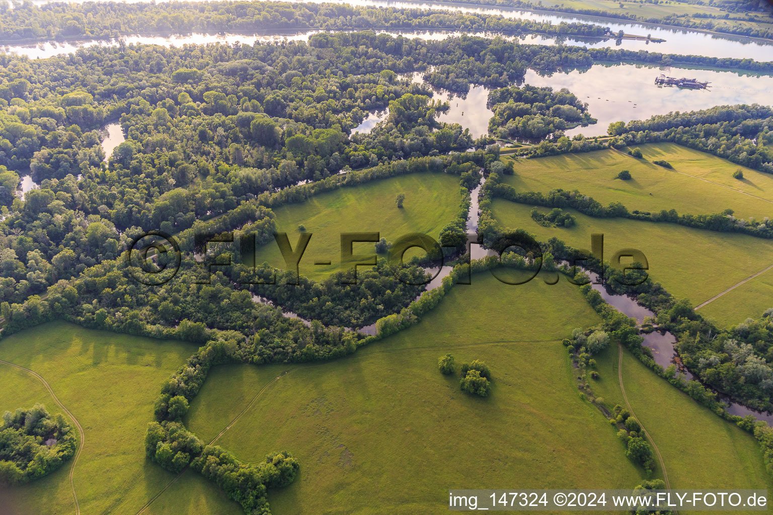 Vue aérienne de Réserve naturelle de Taubergiessen entre les prairies rhénanes et le Rhin à le quartier Rheinau in Ortenaukreis dans le département Bade-Wurtemberg, Allemagne