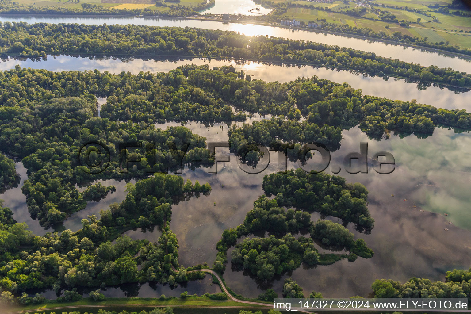Vue aérienne de Pont de Herrenkopf dans la réserve naturelle de Taubergiessen entre les prairies du Rhin et le Rhin à le quartier Rheinau in Ortenaukreis dans le département Bade-Wurtemberg, Allemagne