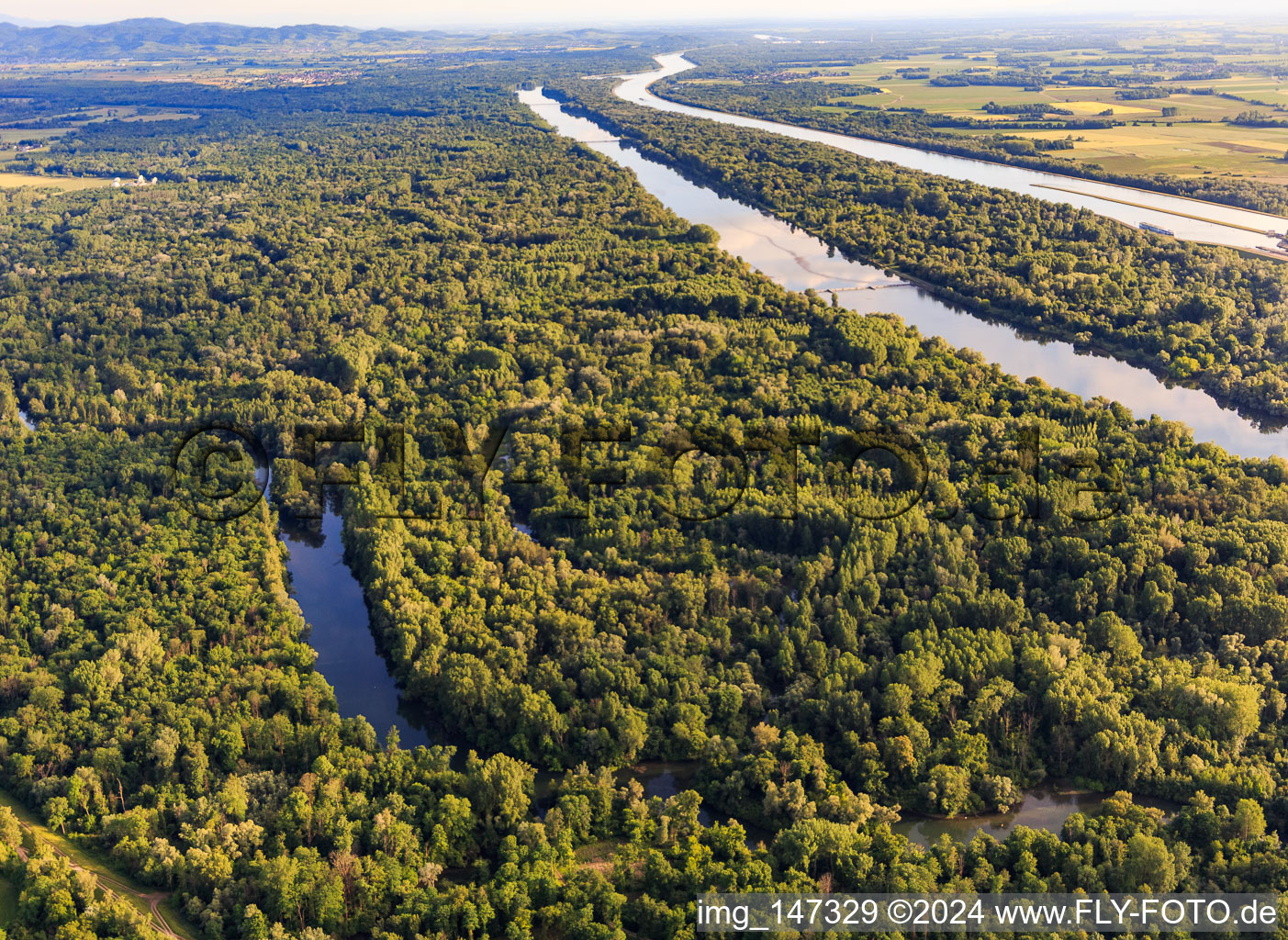 Photographie aérienne de Réserve naturelle de Taubergiessen entre les prairies rhénanes et le Rhin à le quartier Rheinau in Ortenaukreis dans le département Bade-Wurtemberg, Allemagne