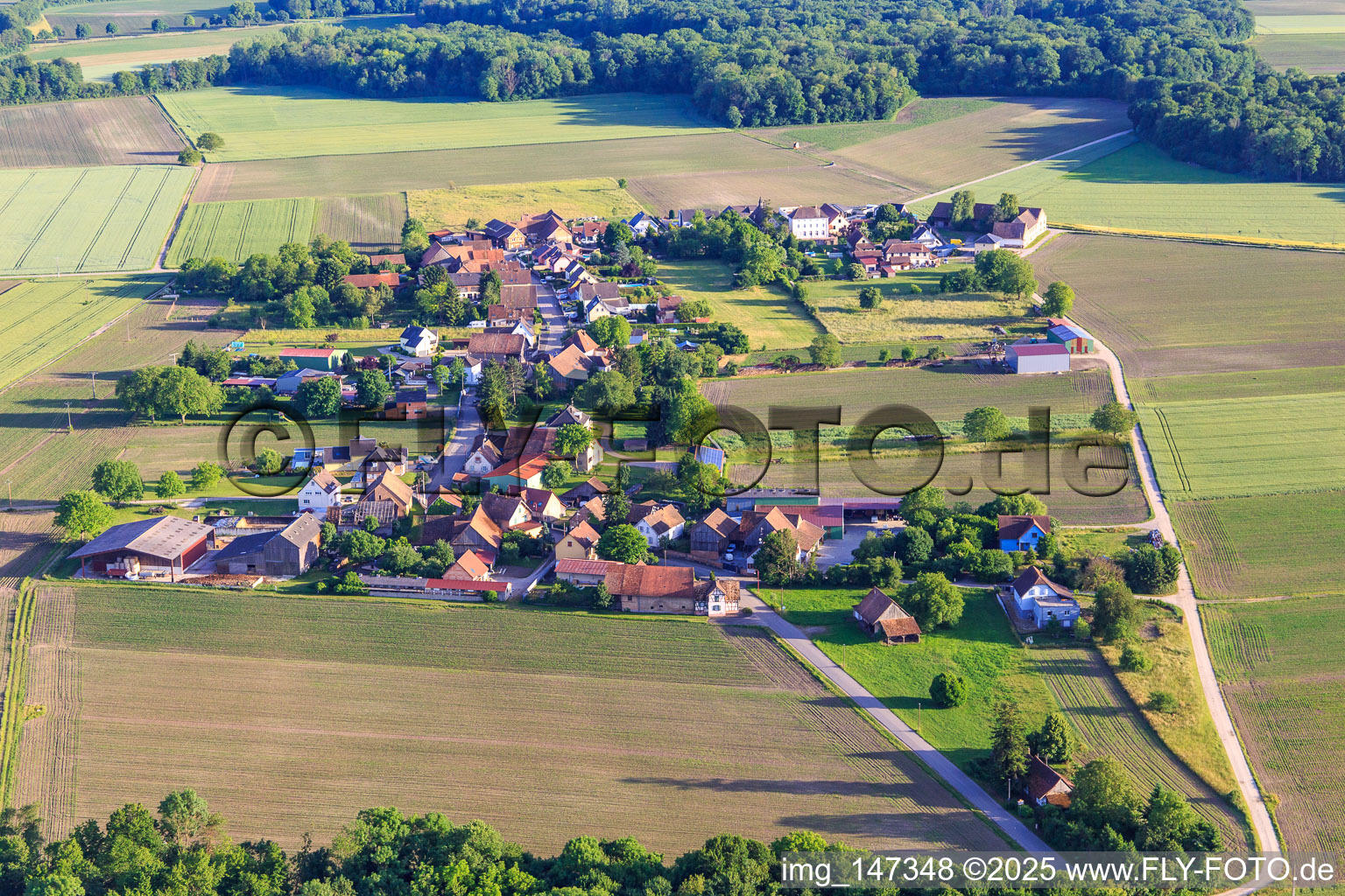 Vue aérienne de Vue du village depuis le nord à Friesenheim dans le département Bas Rhin, France