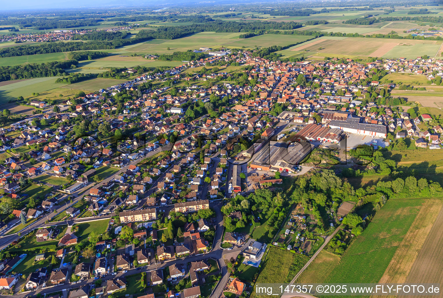 Vue aérienne de Vue de la ville depuis l'ouest à Wittisheim dans le département Bas Rhin, France
