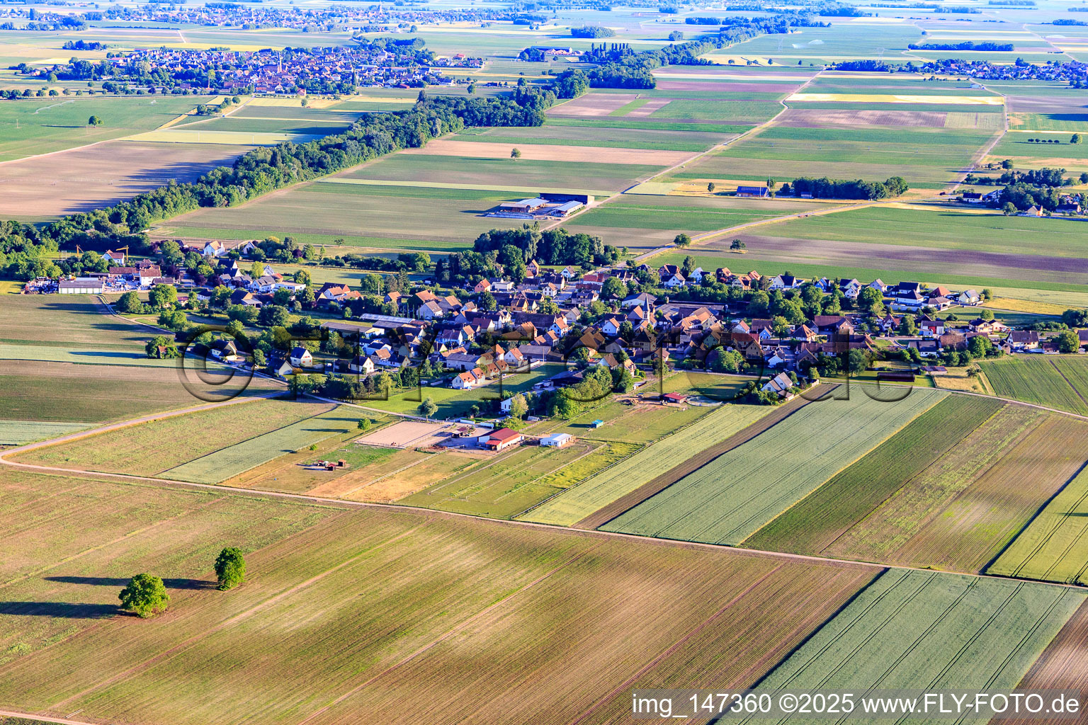 Vue aérienne de Vue du village depuis le nord à Schwobsheim dans le département Bas Rhin, France